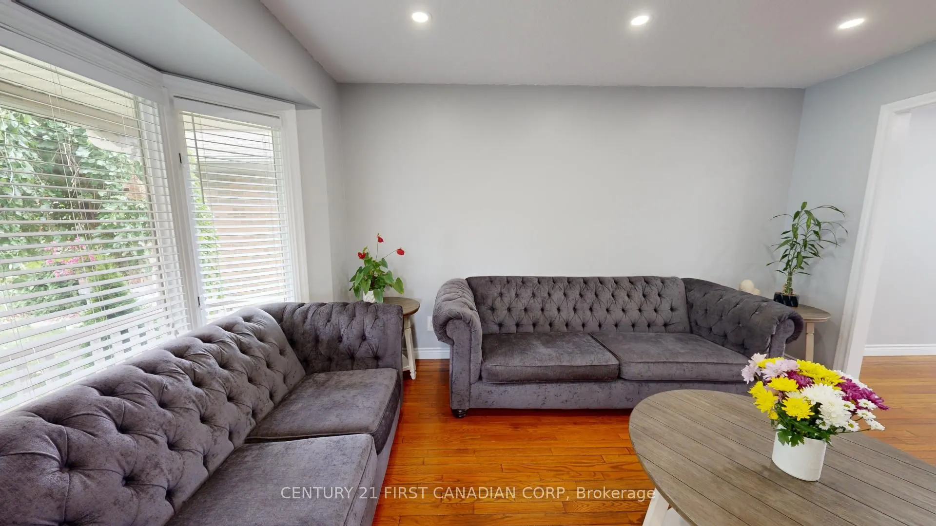 217 Colette Drive