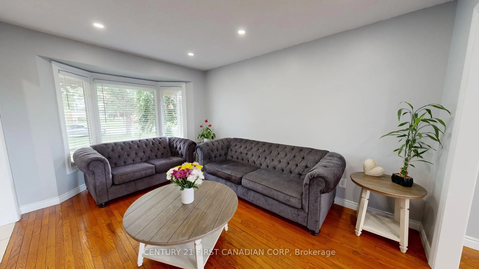 217 Colette Drive