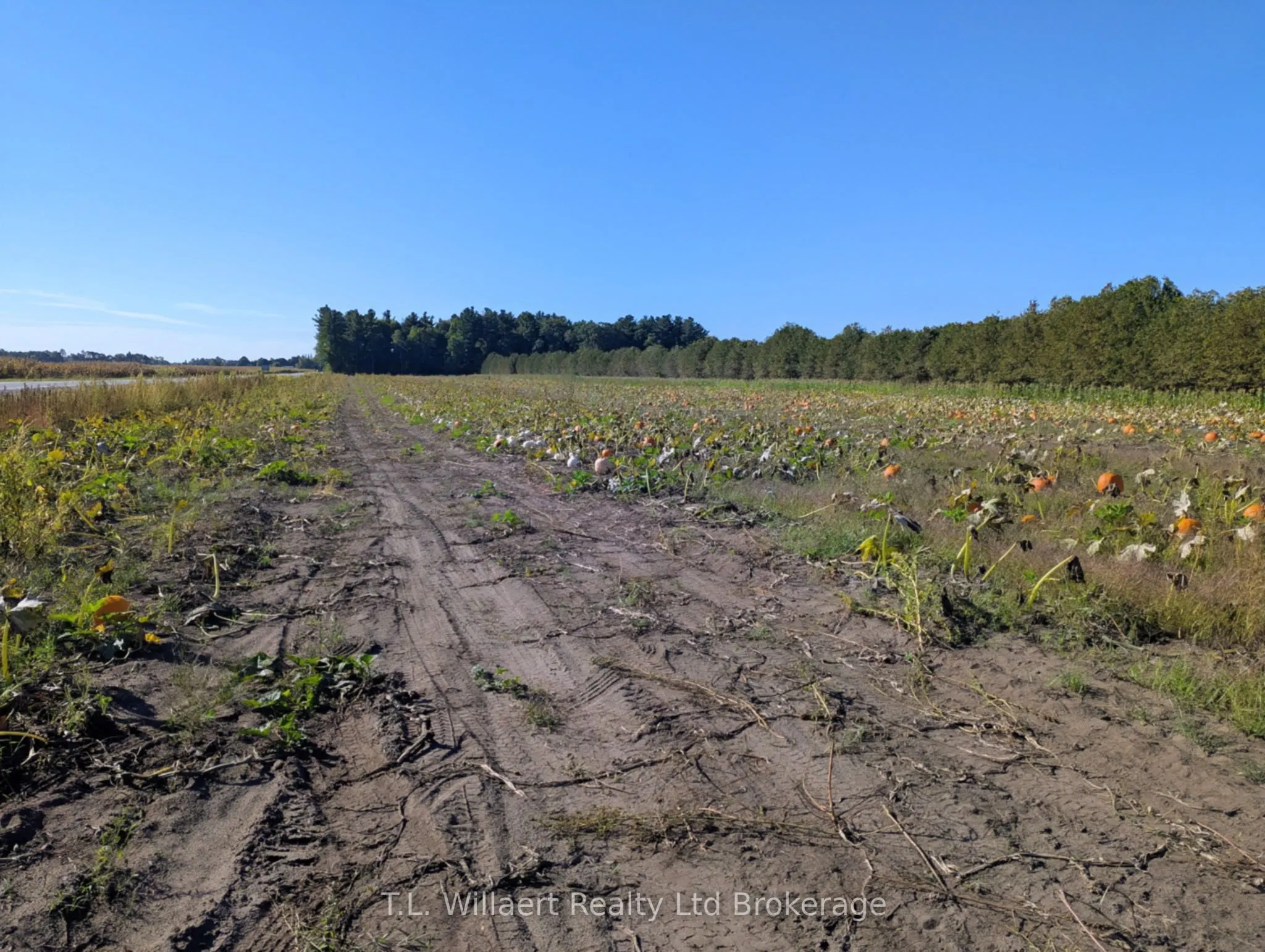 7343 Plank Road