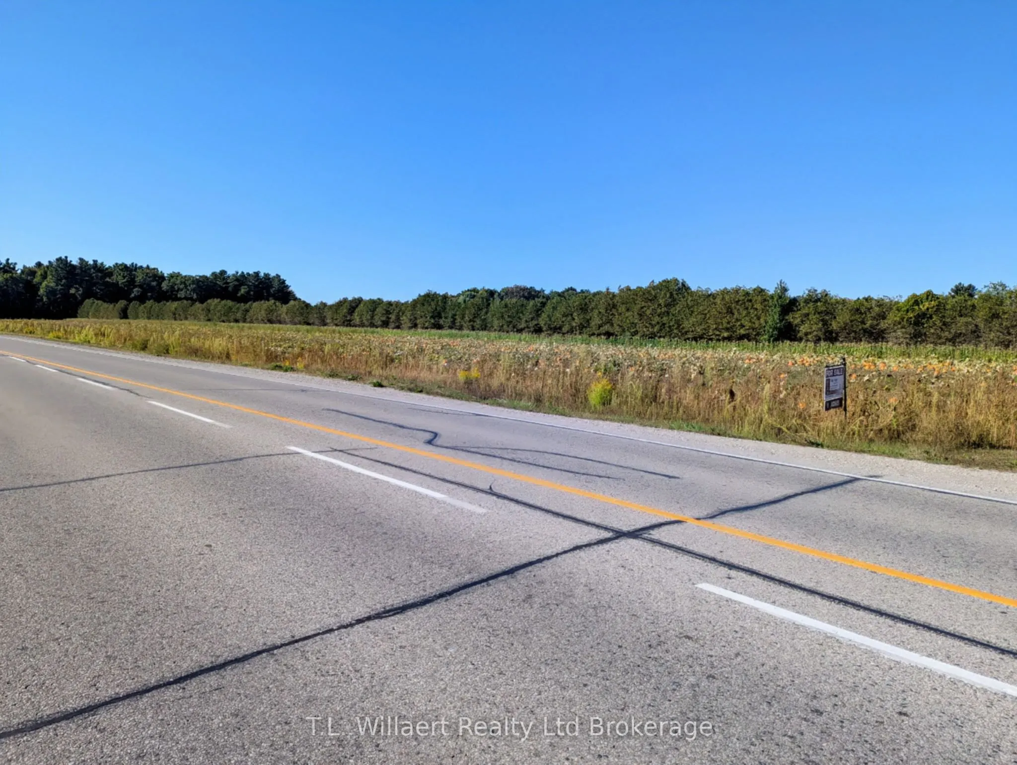 7343 Plank Road