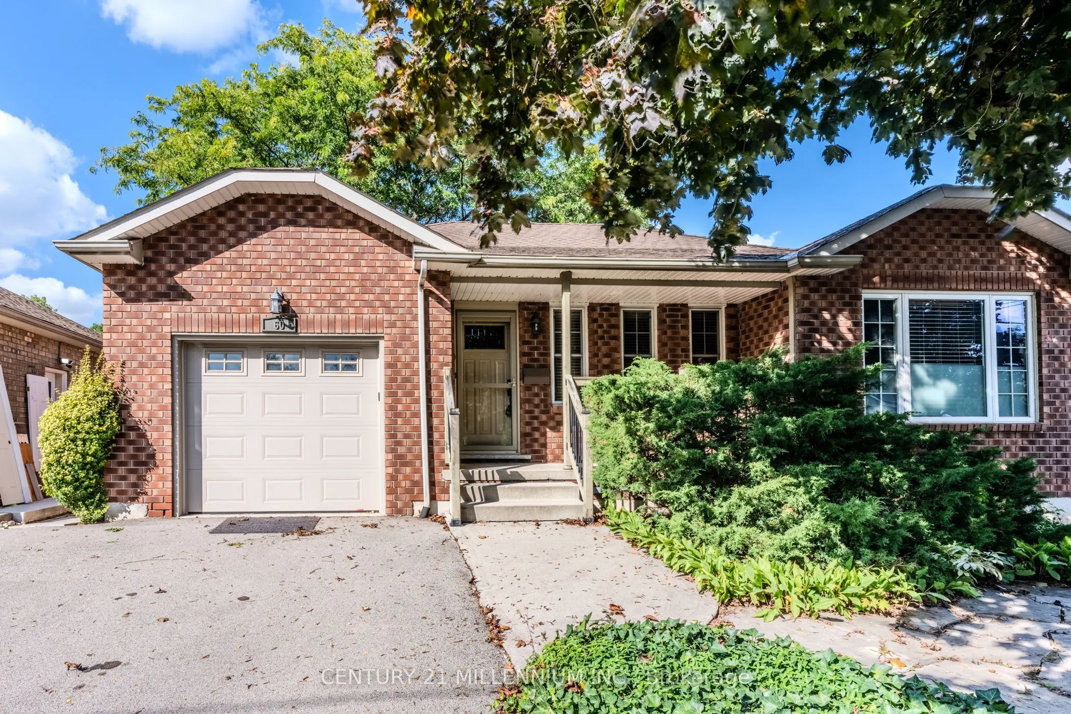 60 Ofield Road