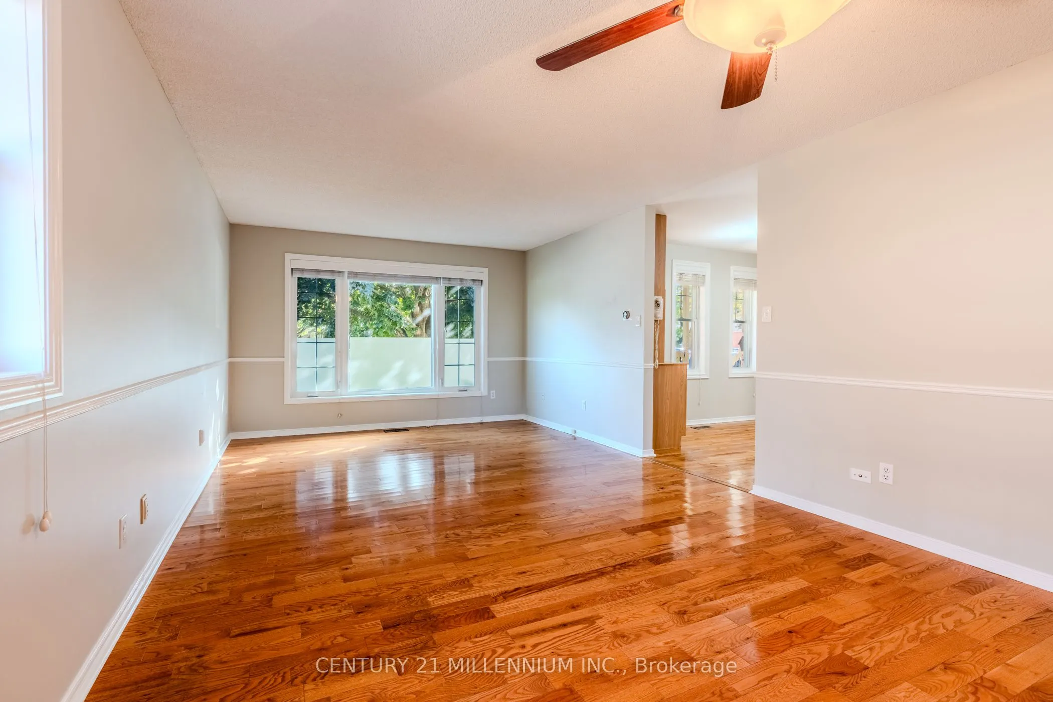 60 Ofield Road