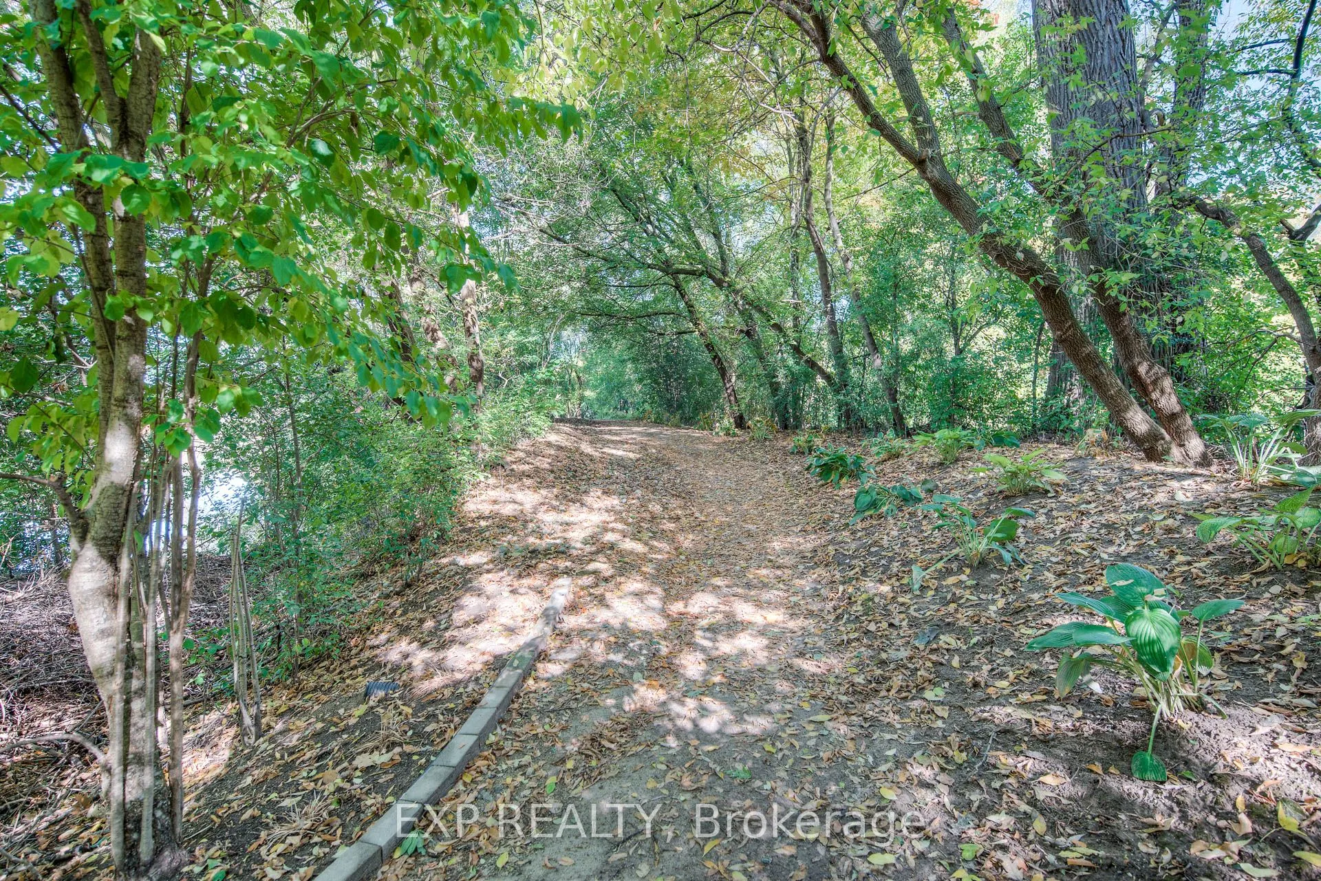 54 Blue Springs Drive, #41
