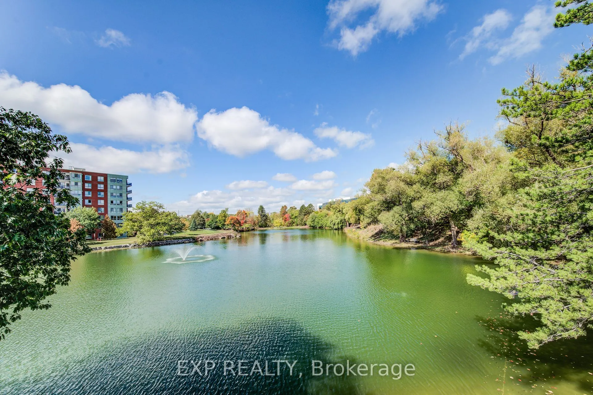 54 Blue Springs Drive, #41