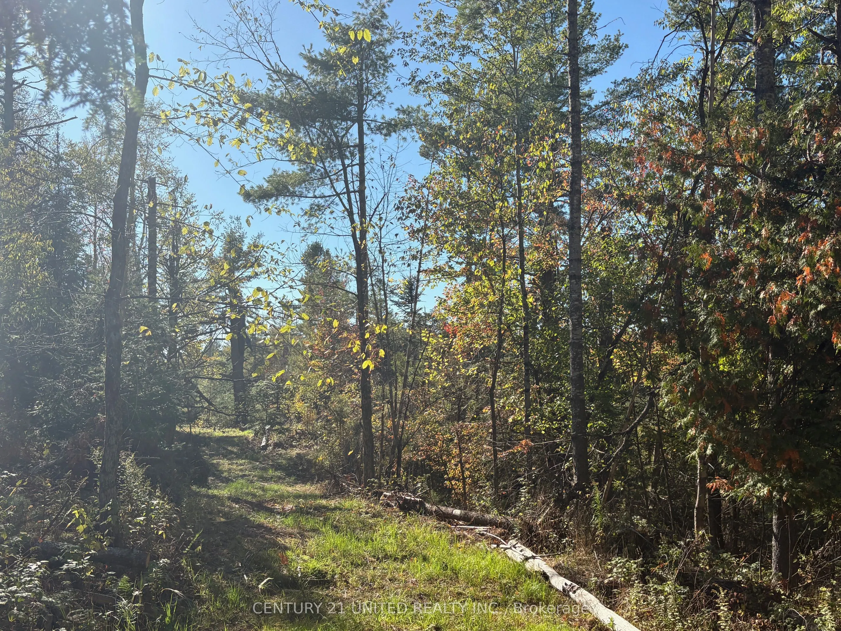 Twin Sister Lakes Road
