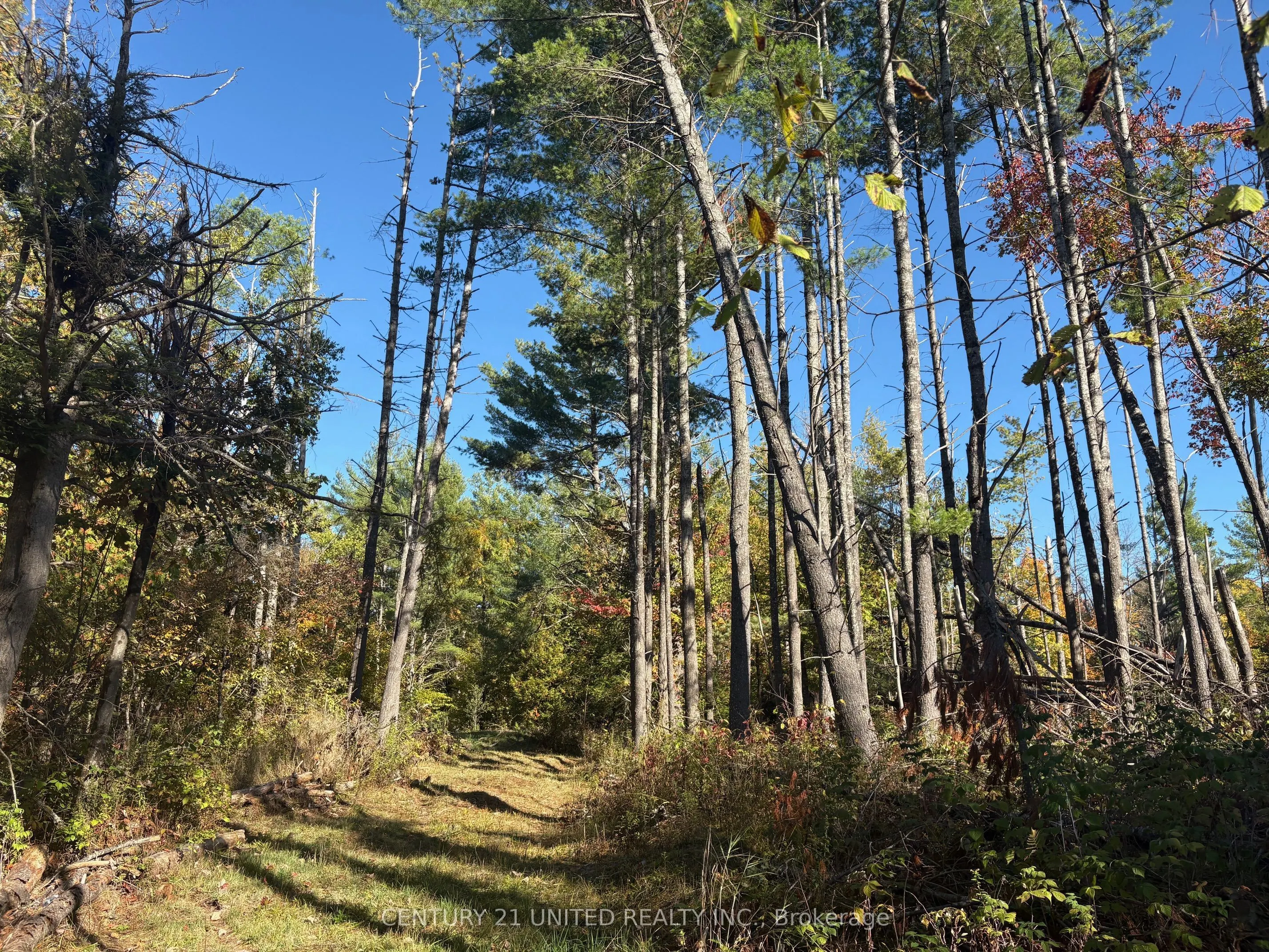 Twin Sister Lakes Road