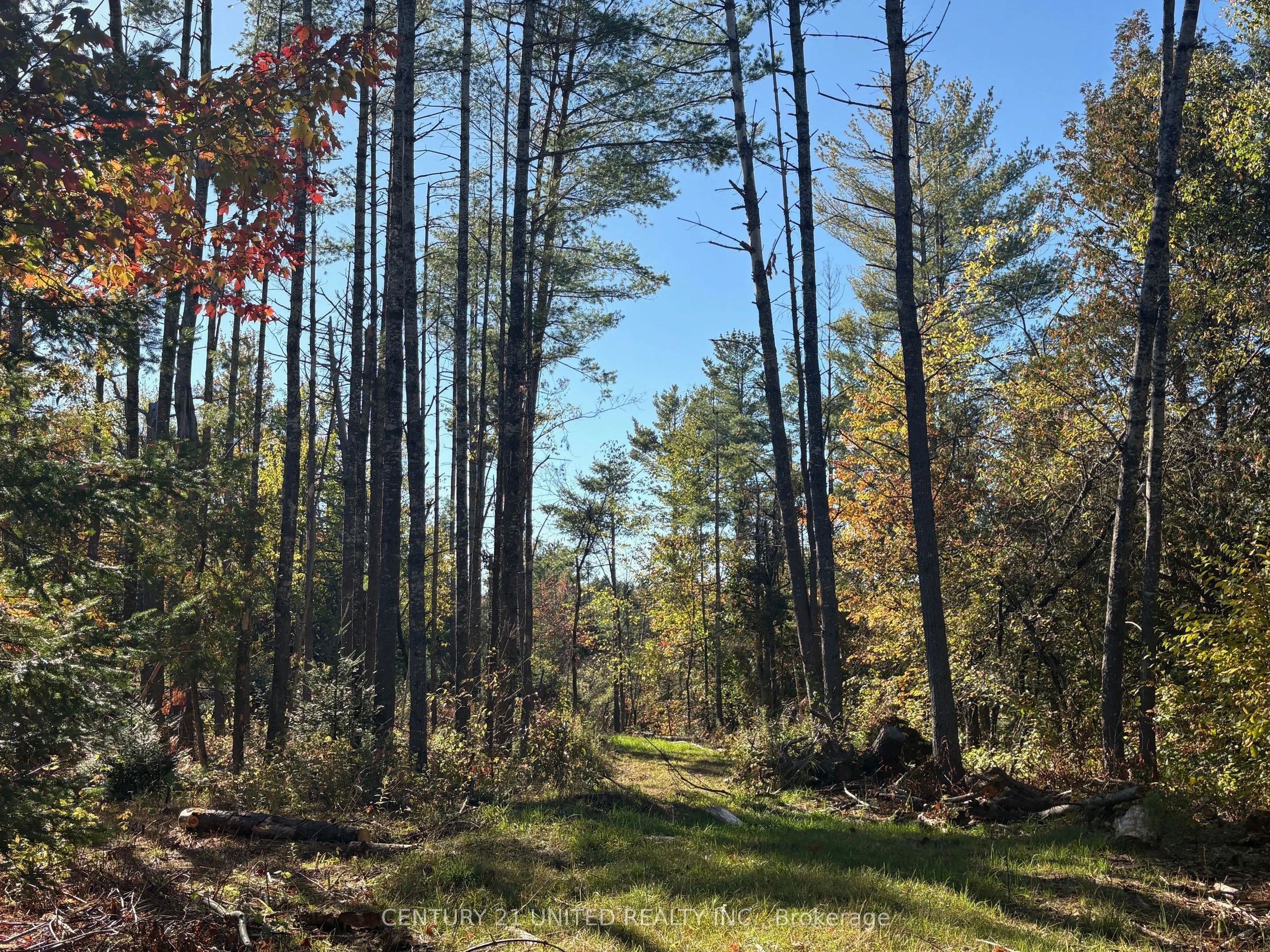 Twin Sister Lakes Road