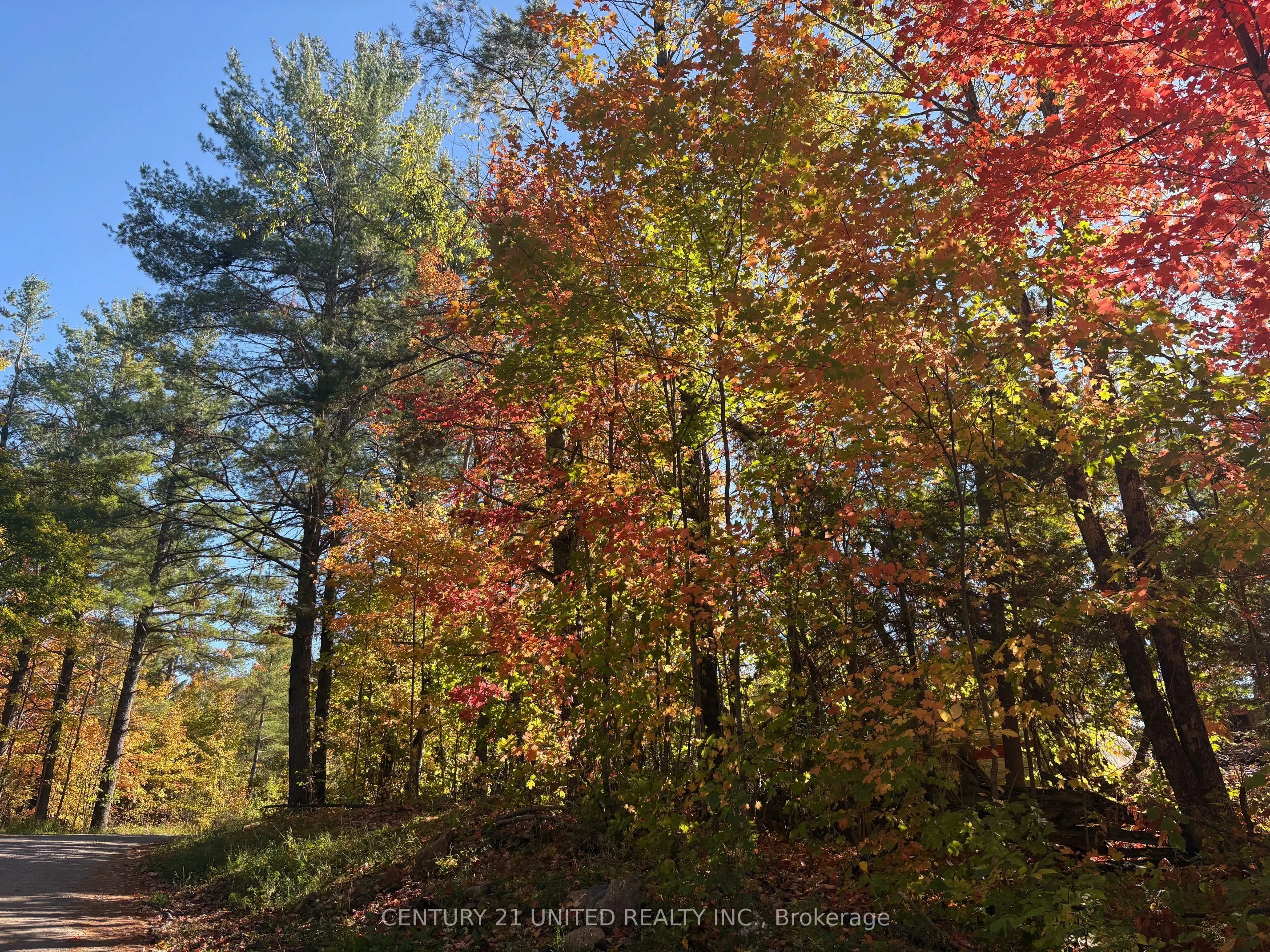 Twin Sister Lakes Road