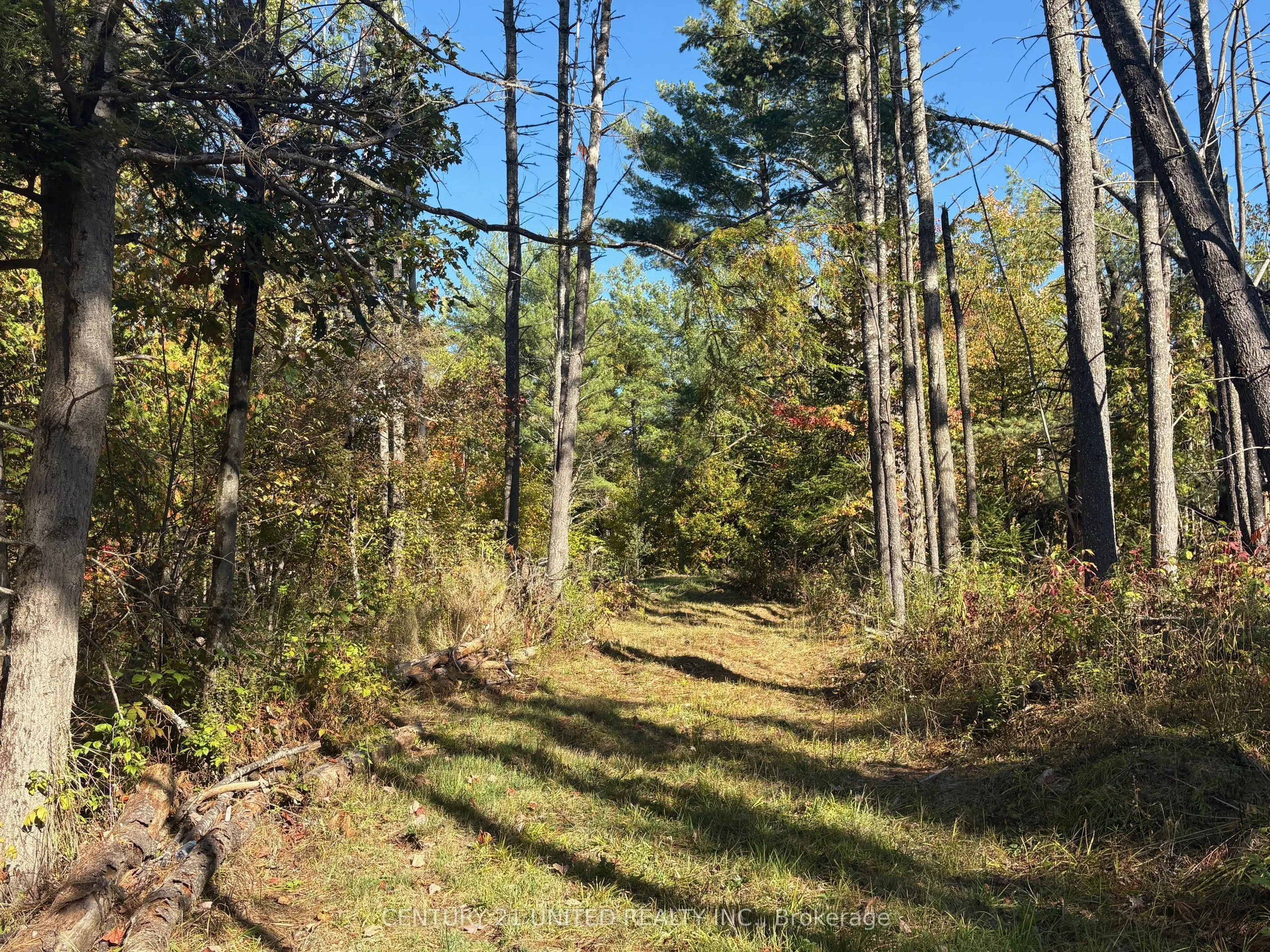 Twin Sister Lakes Road