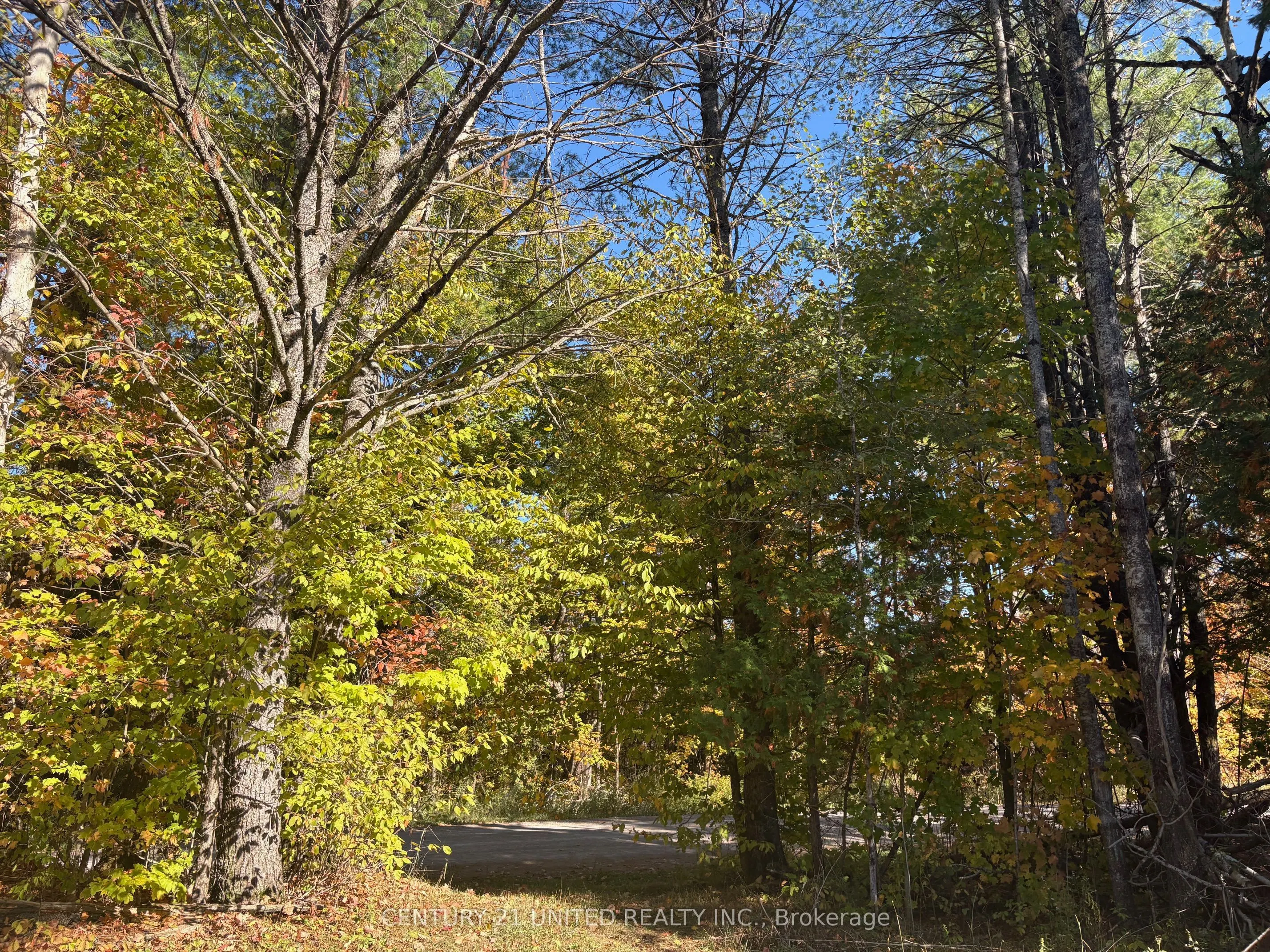 Twin Sister Lakes Road
