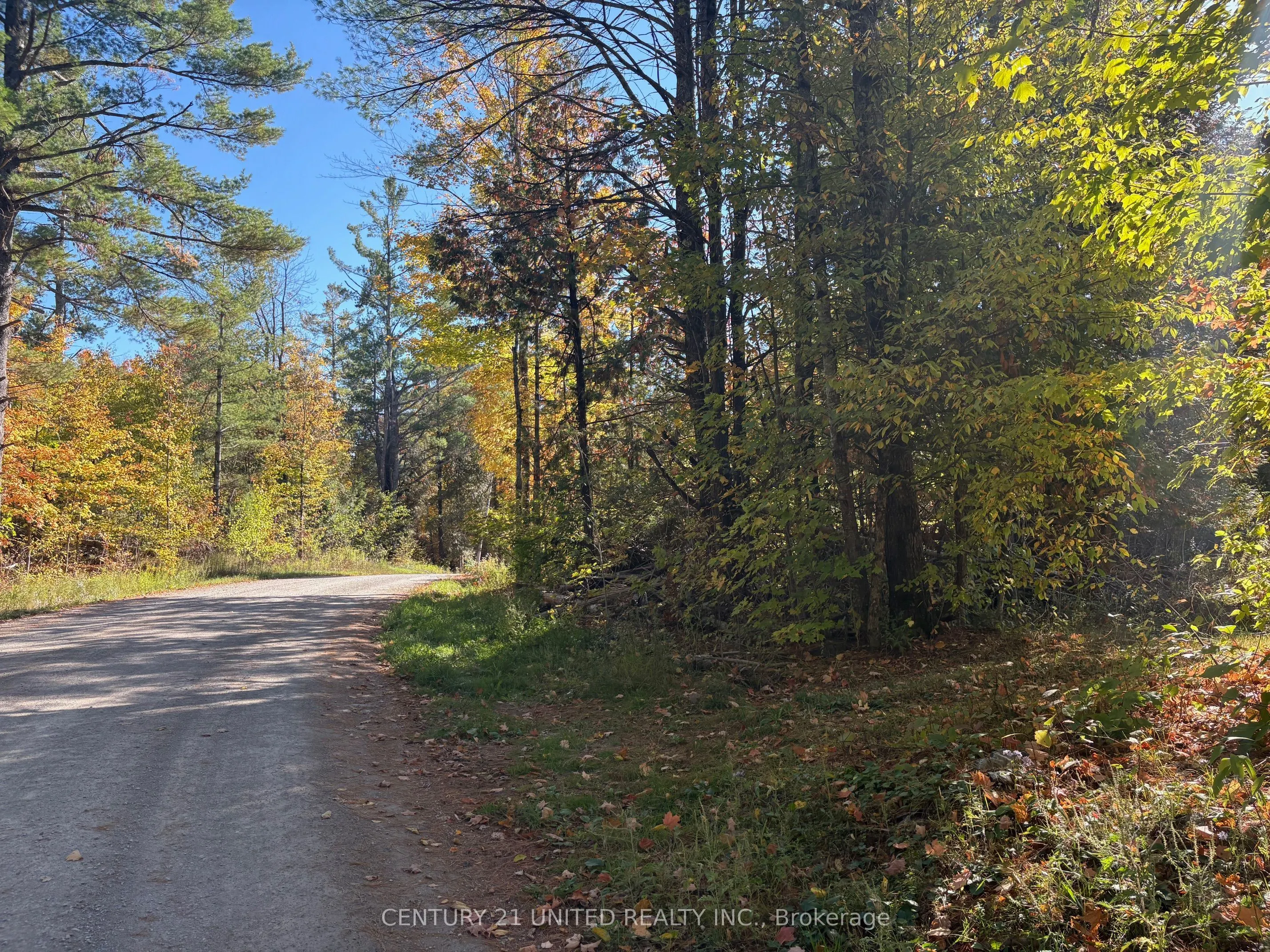 Twin Sister Lakes Road