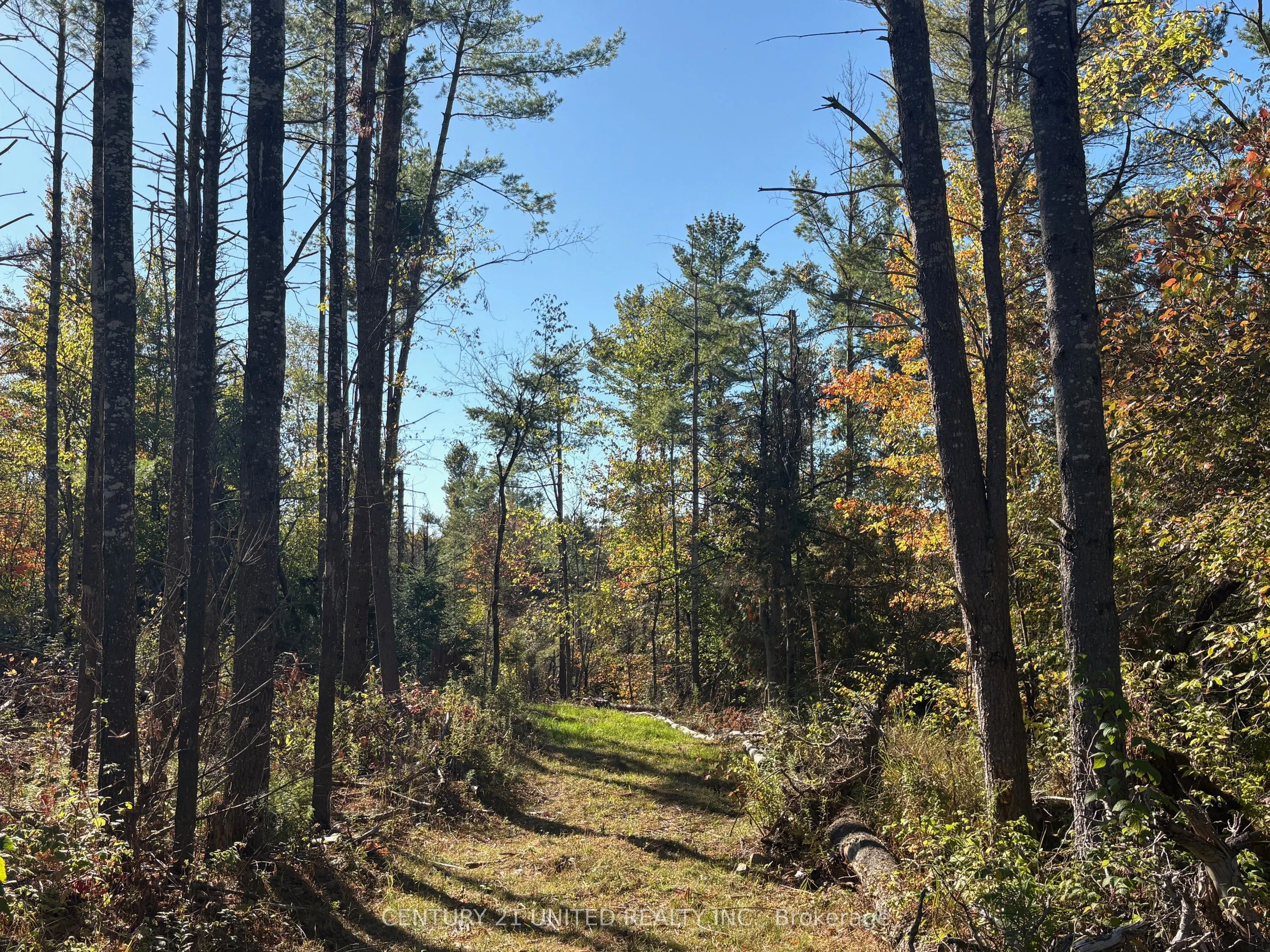 Twin Sister Lakes Road