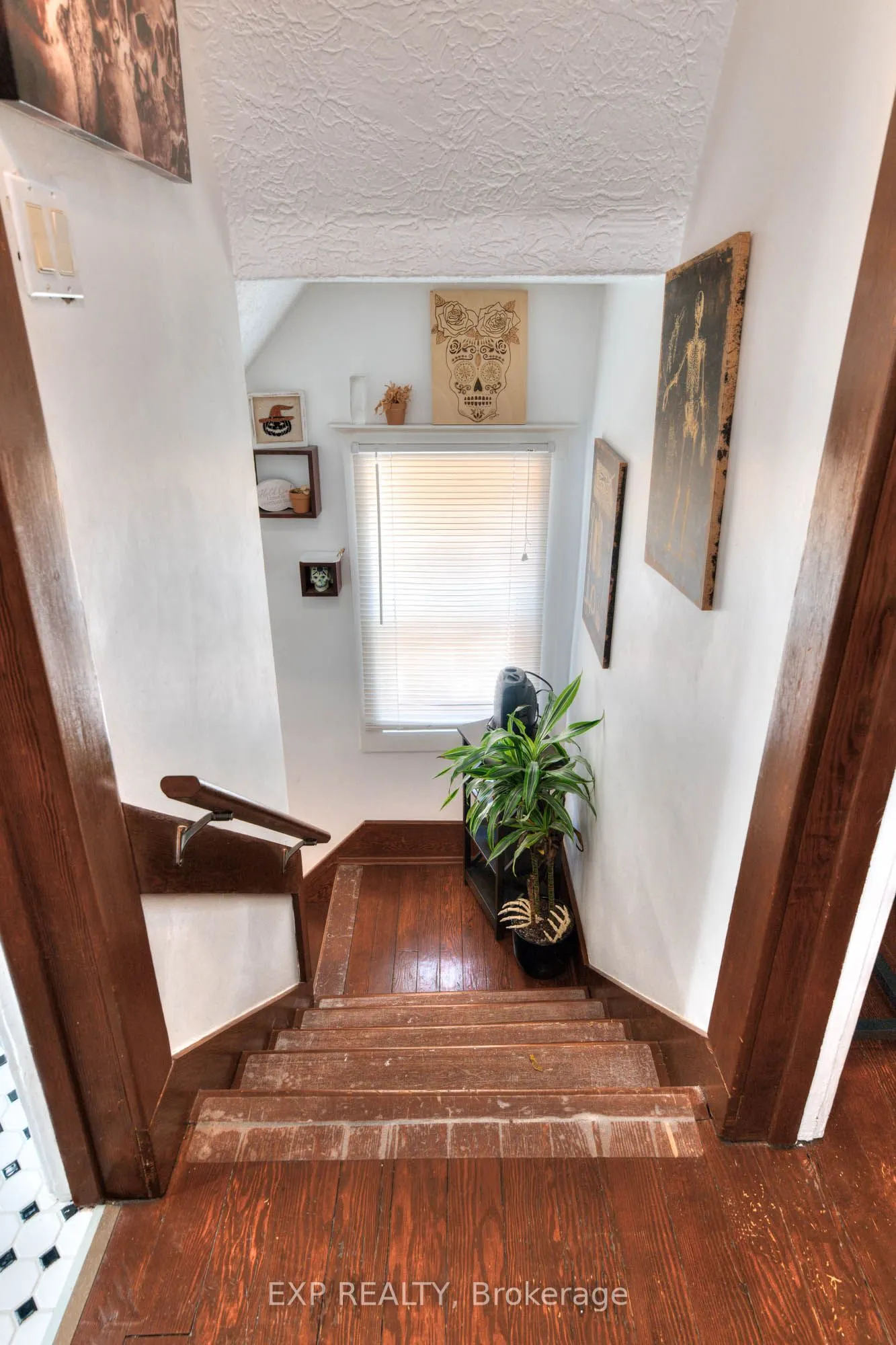 50 Walnut Street