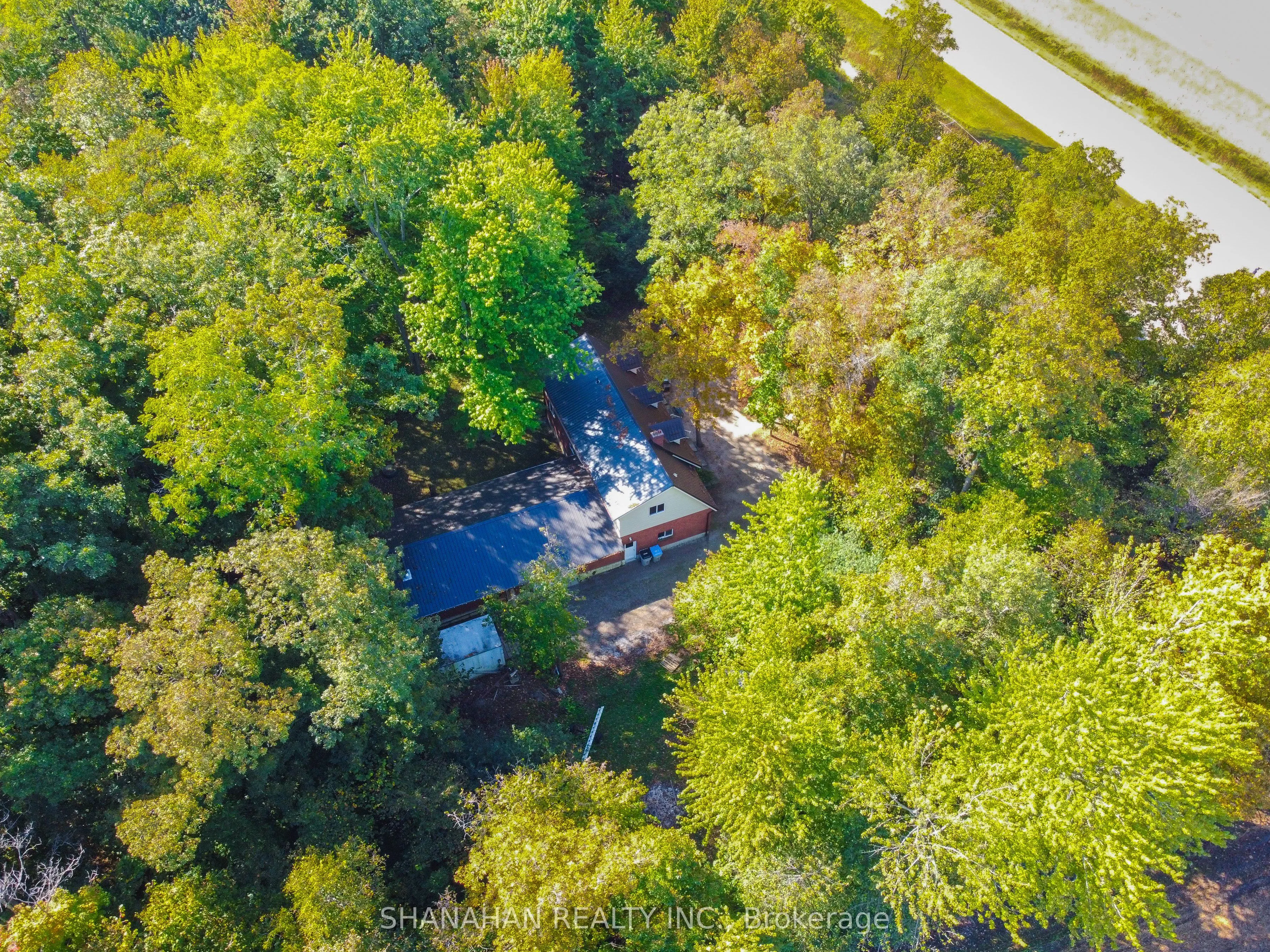 4690 Forest Road
