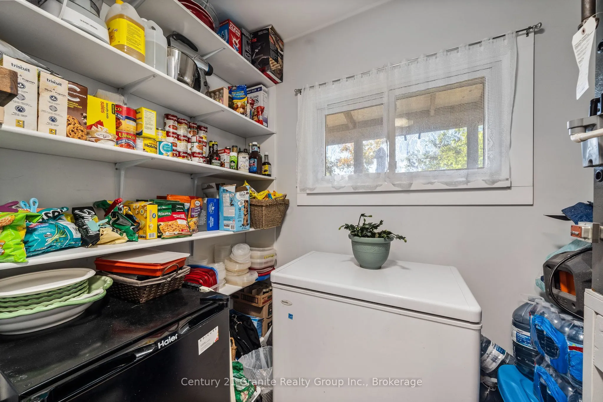 91 Pine Avenue