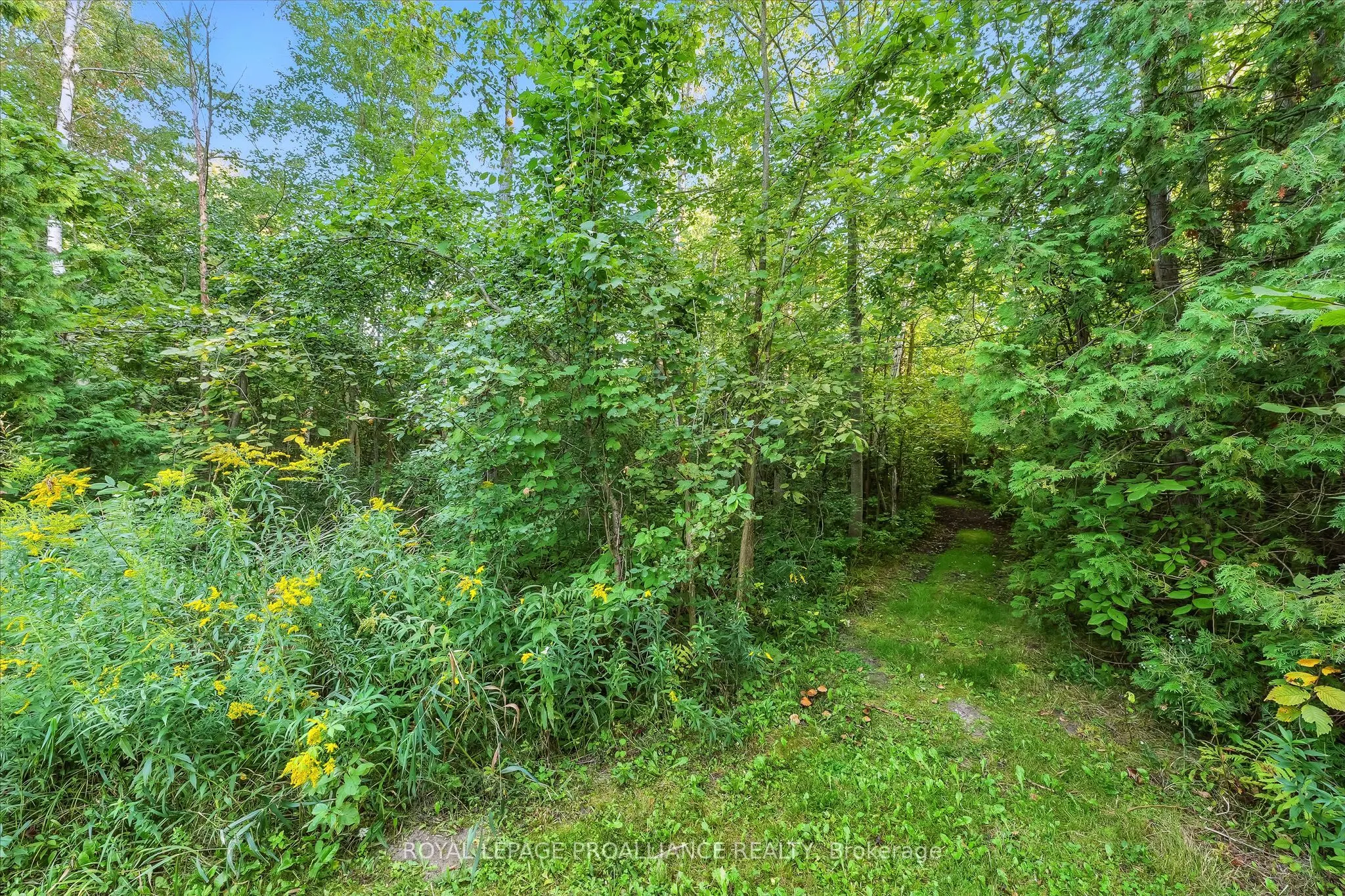 13799 County 21 Road