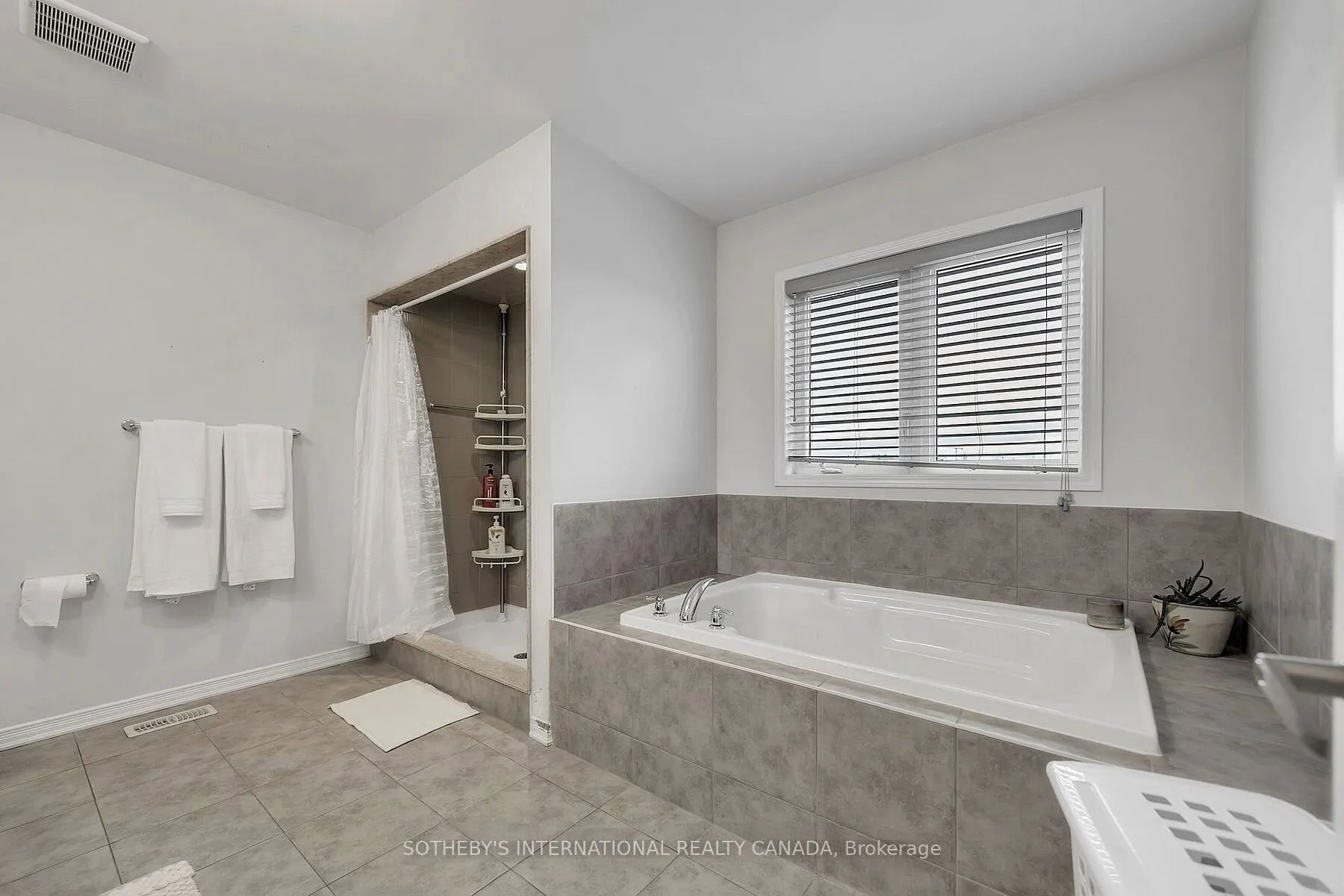 238 Dolman Street
