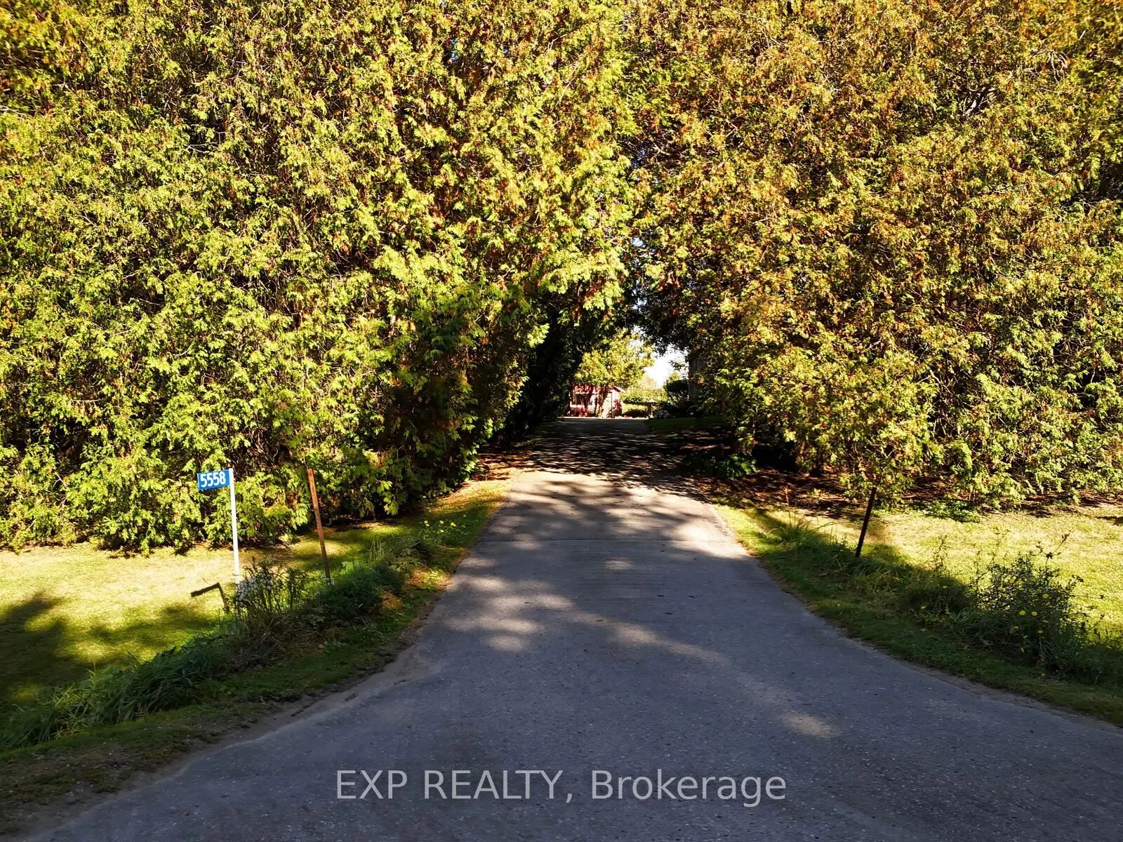 5558 Cobble Hill Road