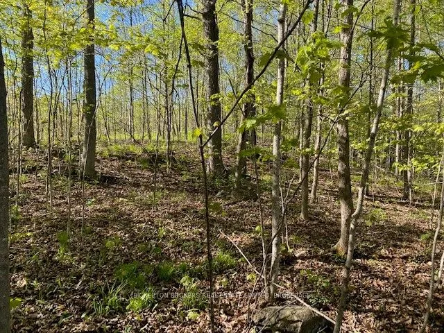 3519 County Rd 3 Road