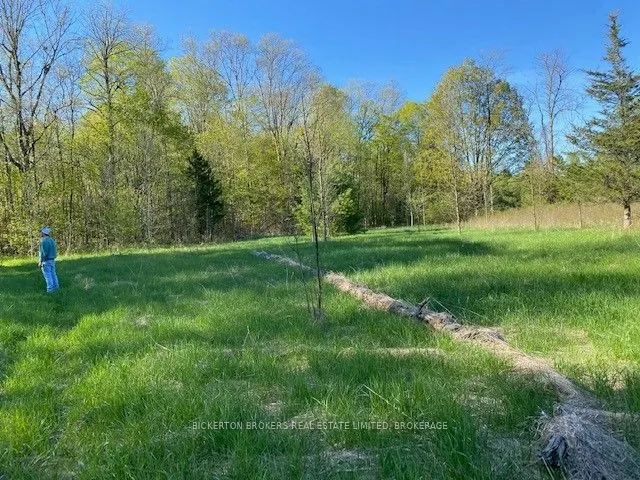 3519 County Rd 3 Road