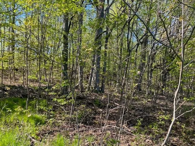 3519 County Rd 3 Road