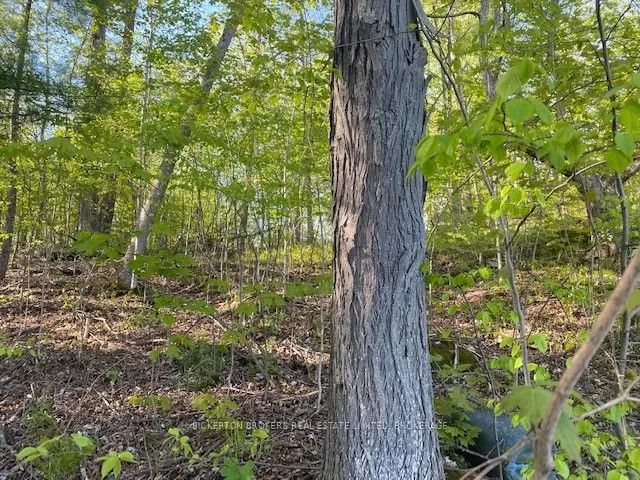 3519 County Rd 3 Road
