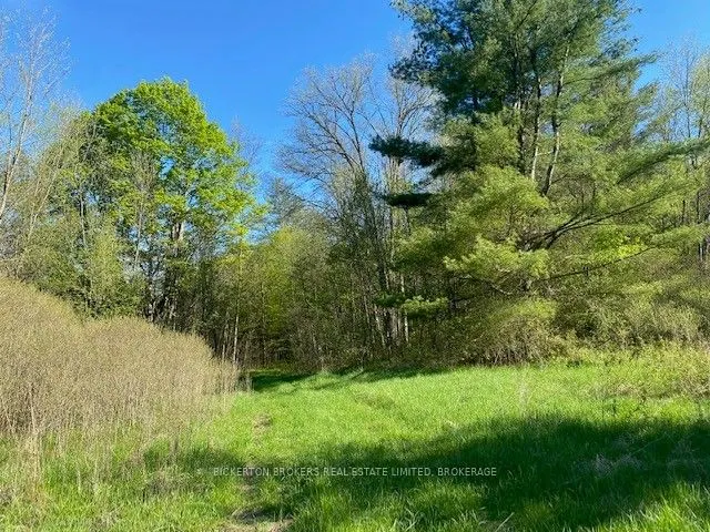 3519 County Rd 3 Road