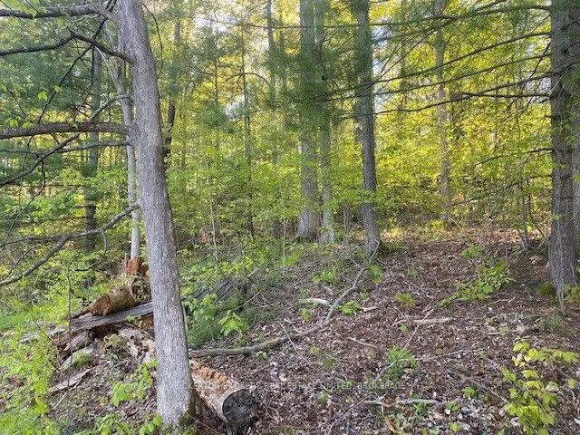 3519 County Rd 3 Road