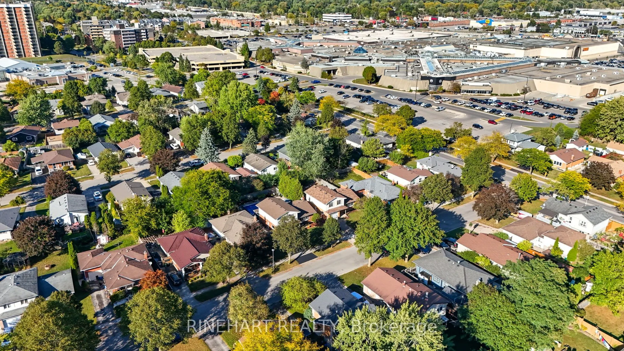 10 Alayne Crescent