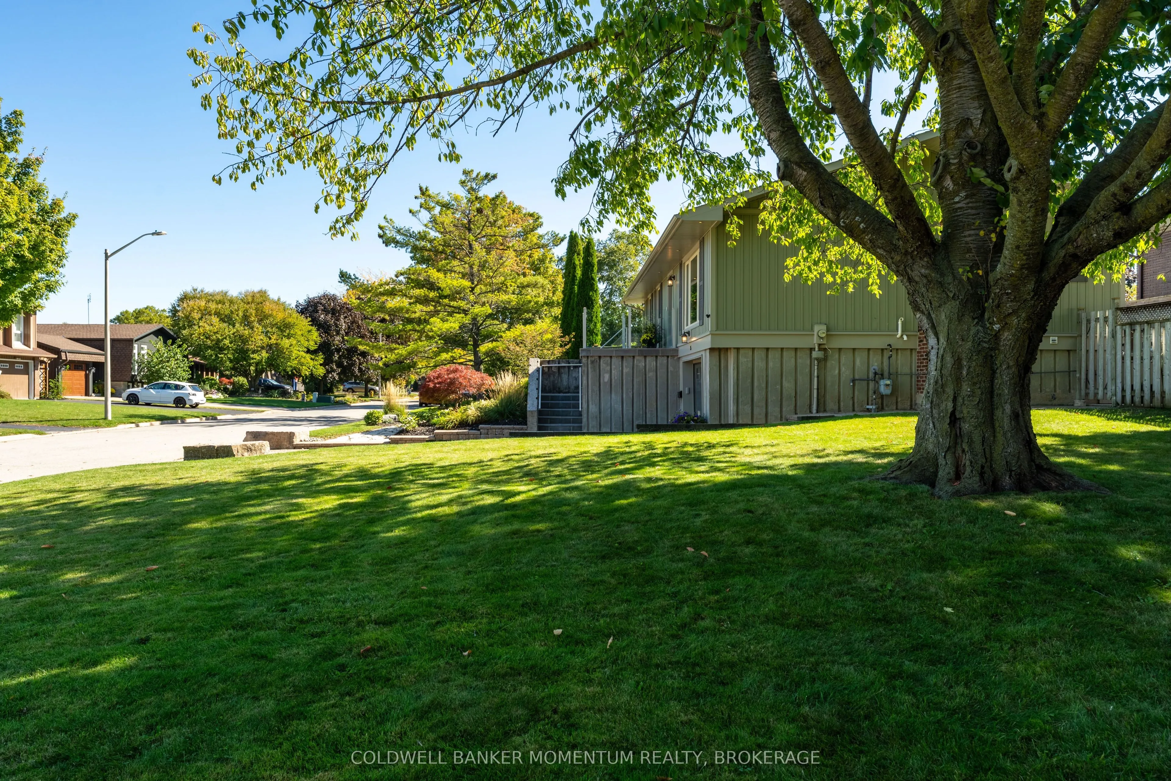 15 The Cedars
