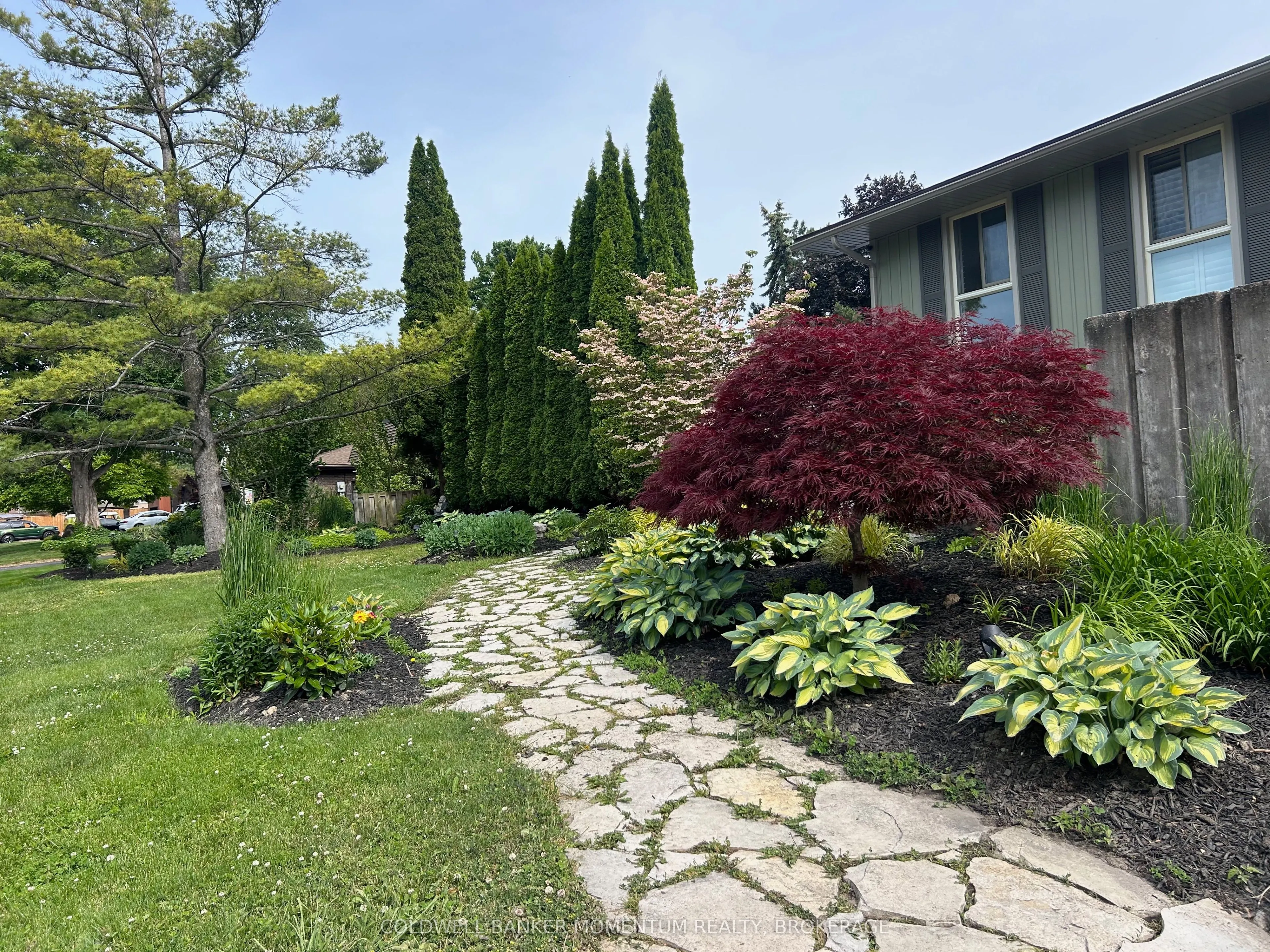 15 The Cedars