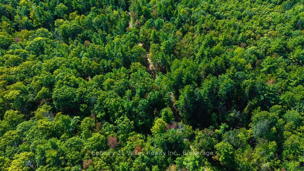 1510 Keller Road
