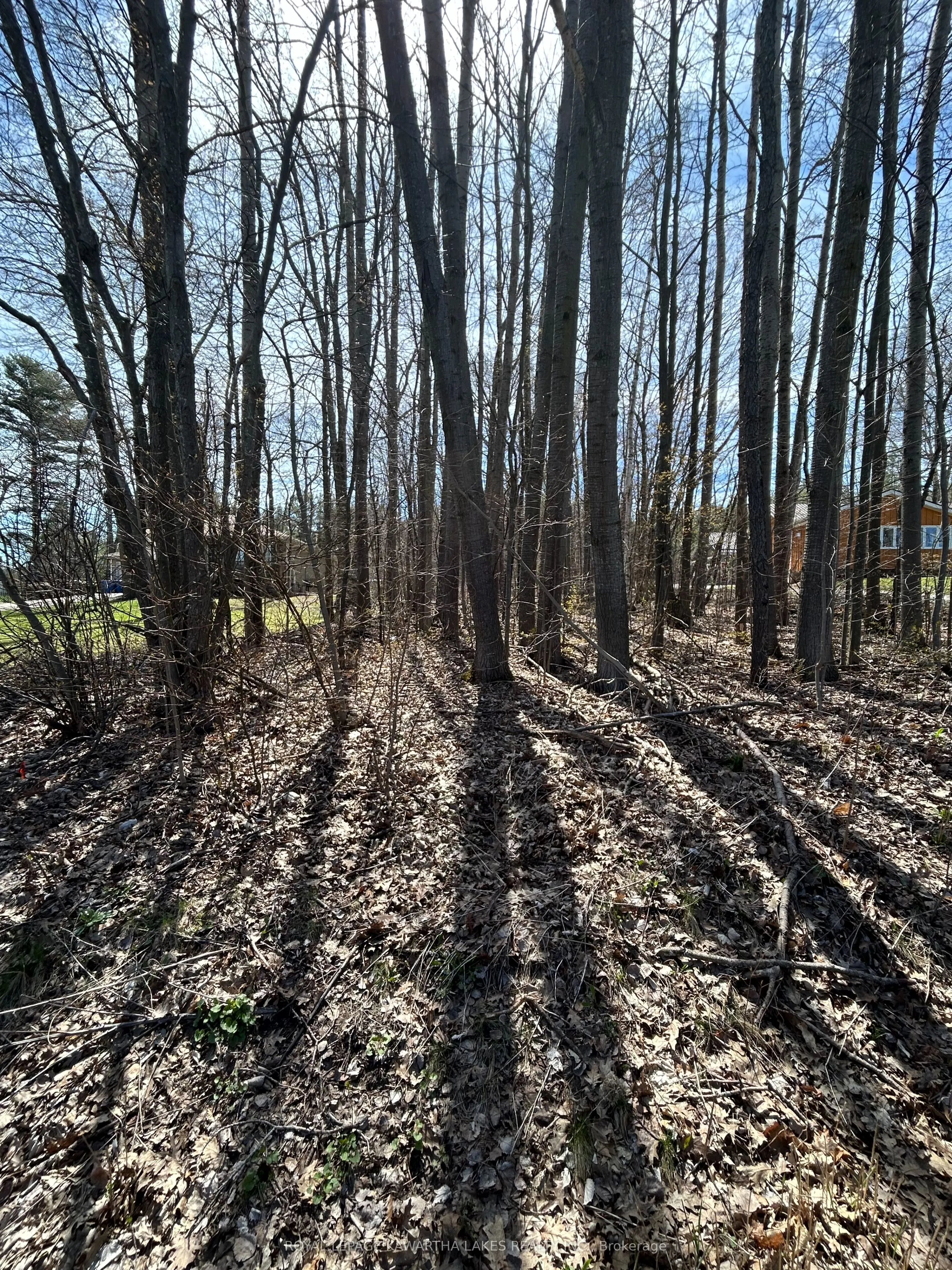 0 Poplar Drive