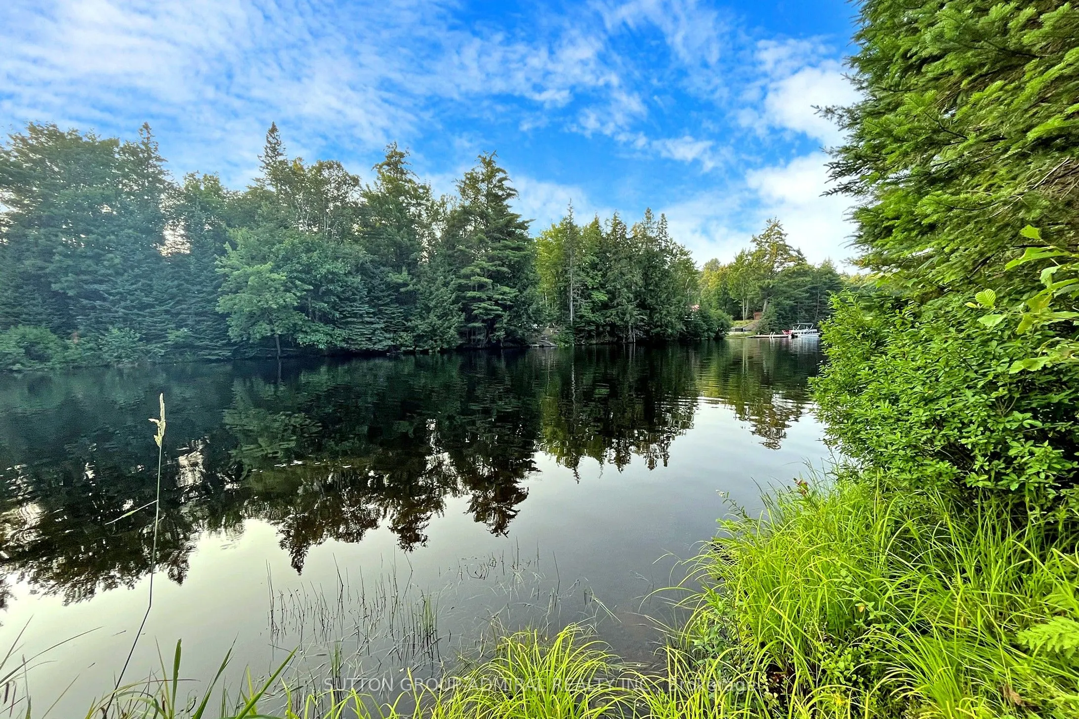 477 Balsam Chutes Road