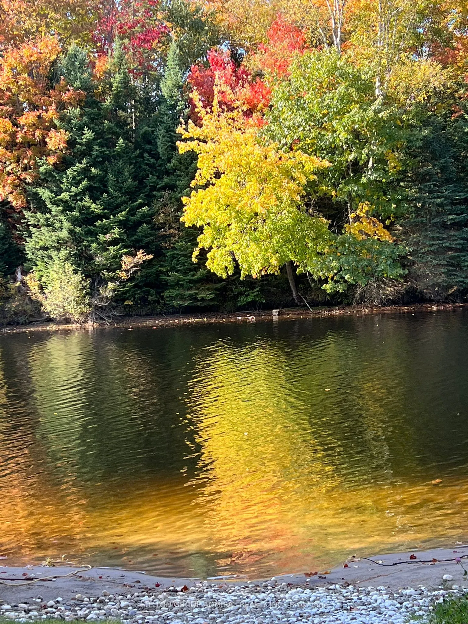 477 Balsam Chutes Road