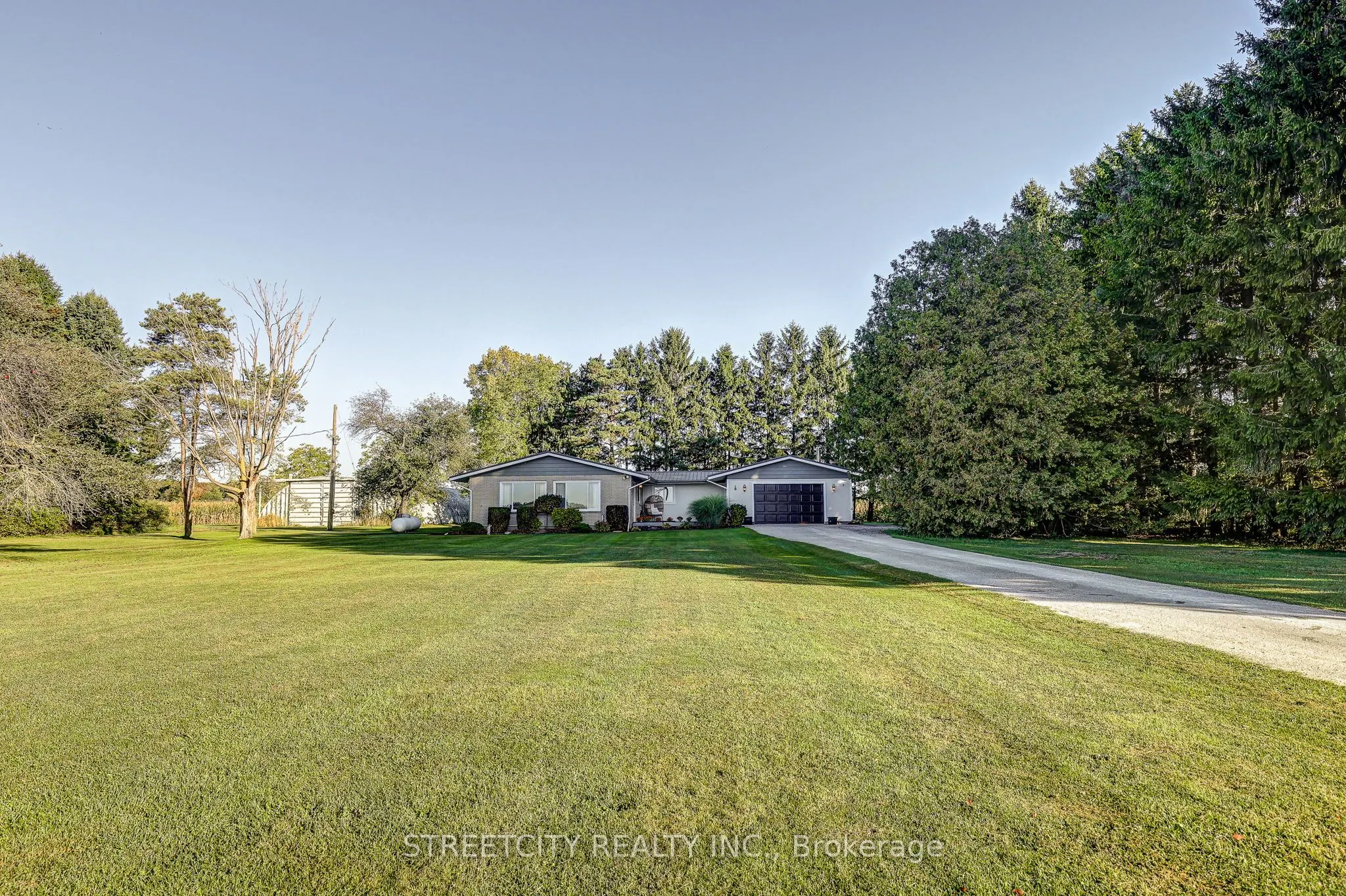 35242 Scotch Line