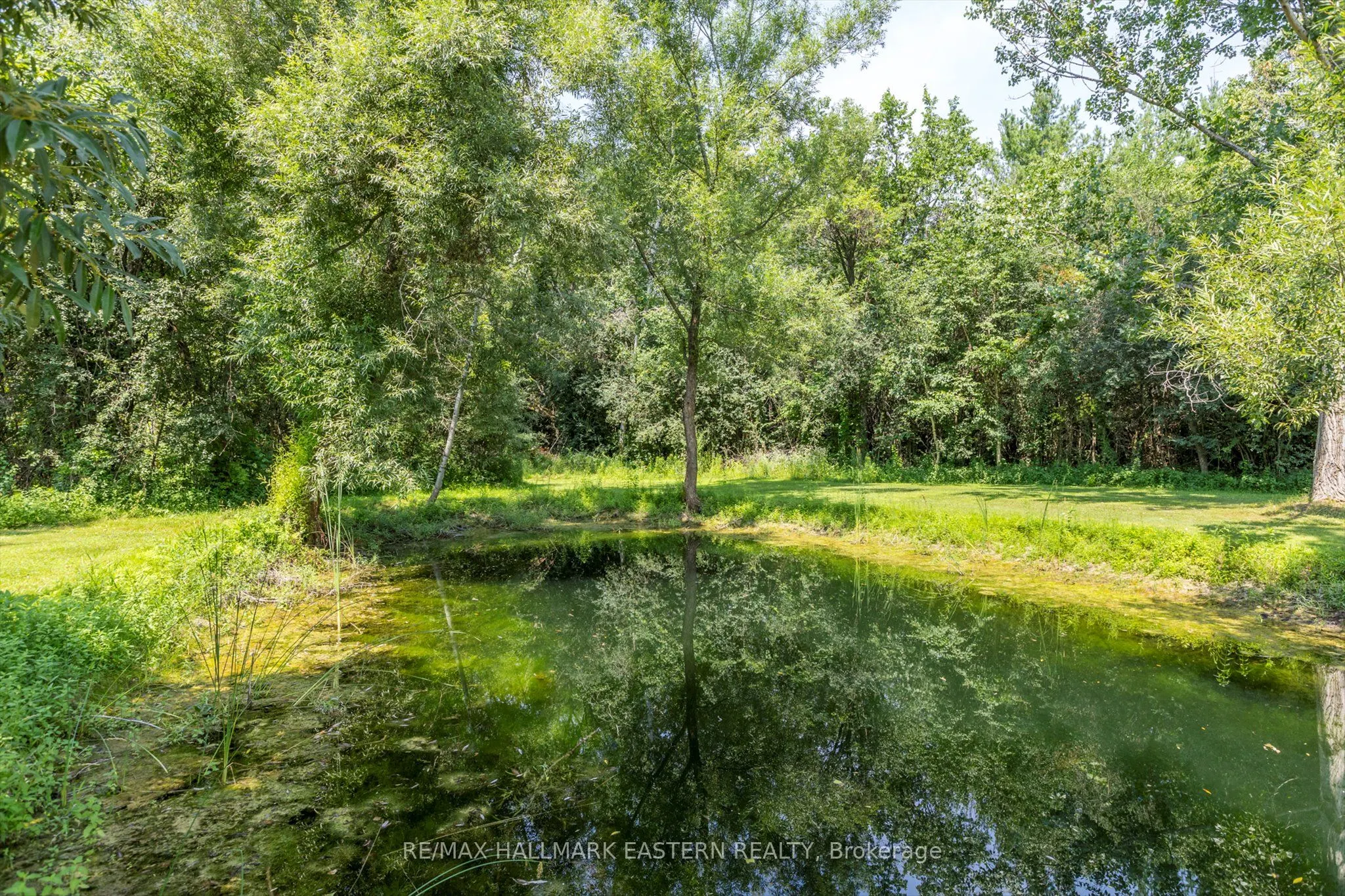 3072 Stu Black Road