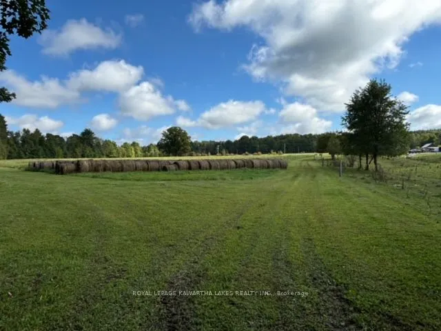 2433 County Road 121 Road