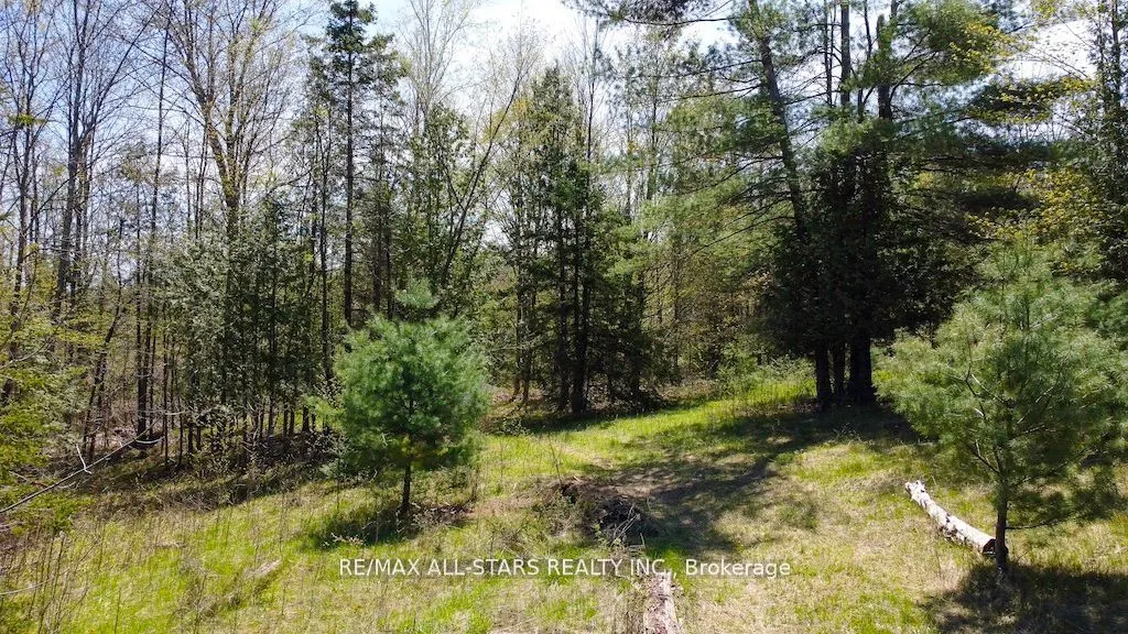 617 County Rd 47