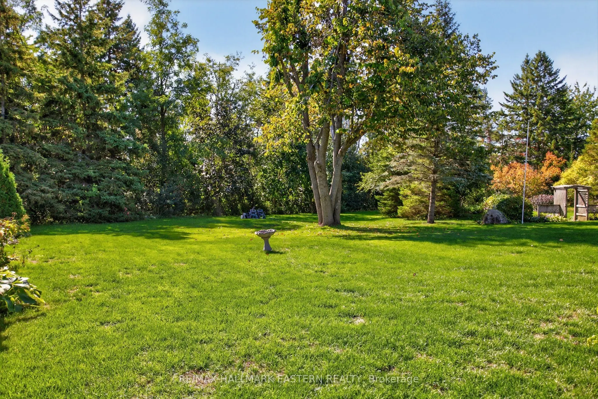 244 Patricia Crescent