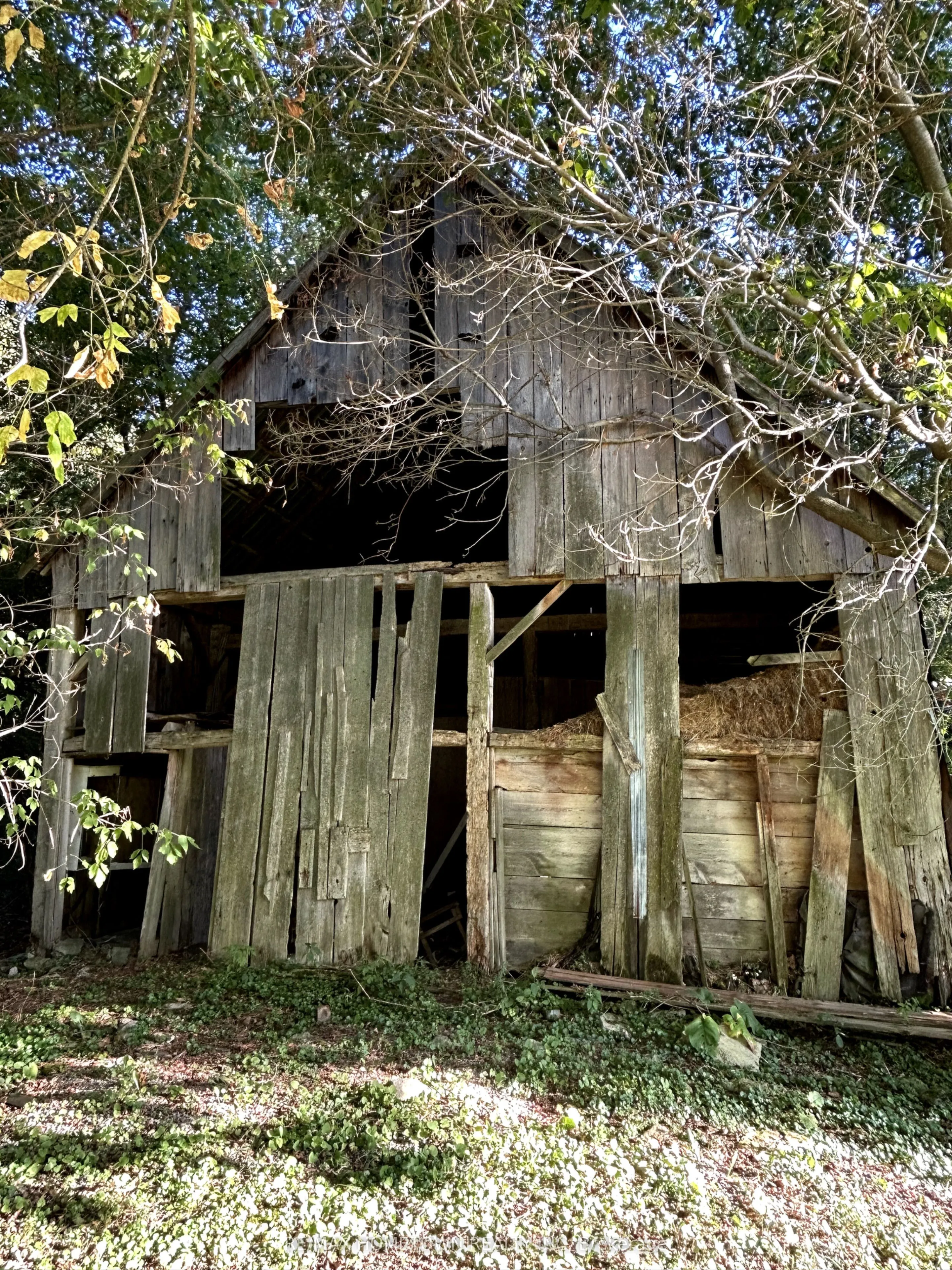 523 Lower Oak Leaf Road