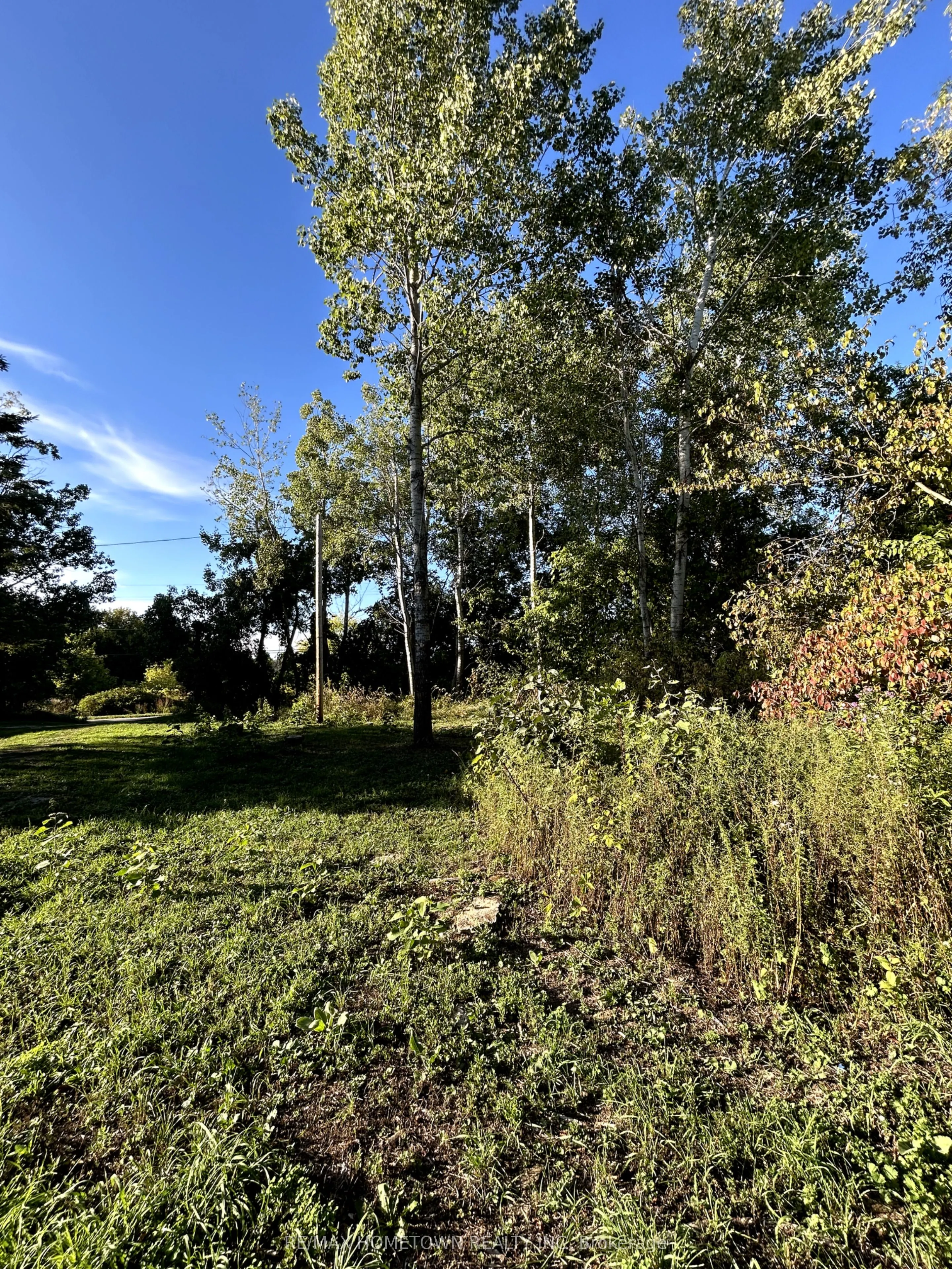 523 Lower Oak Leaf Road