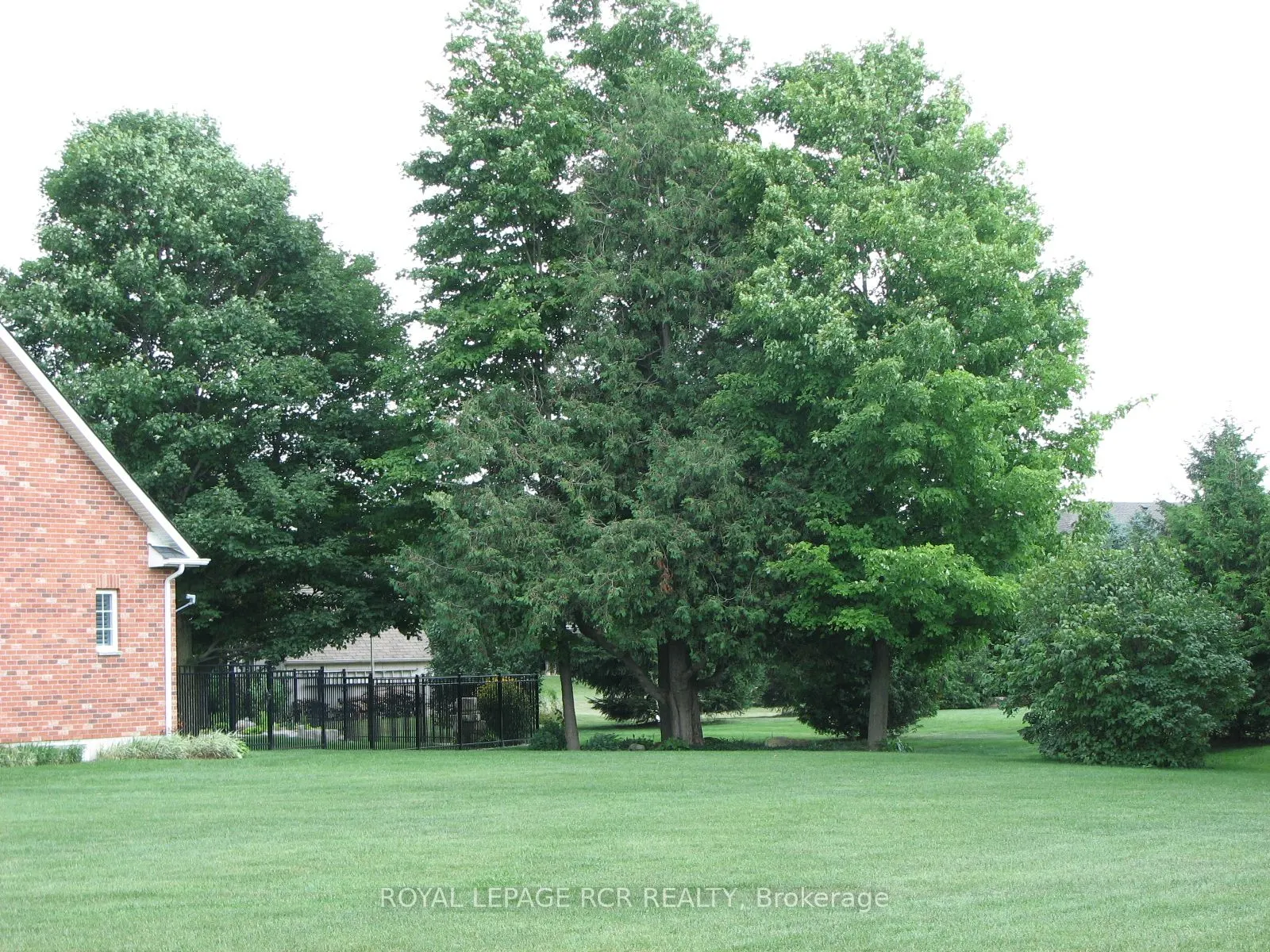 44 Rayburn Meadows