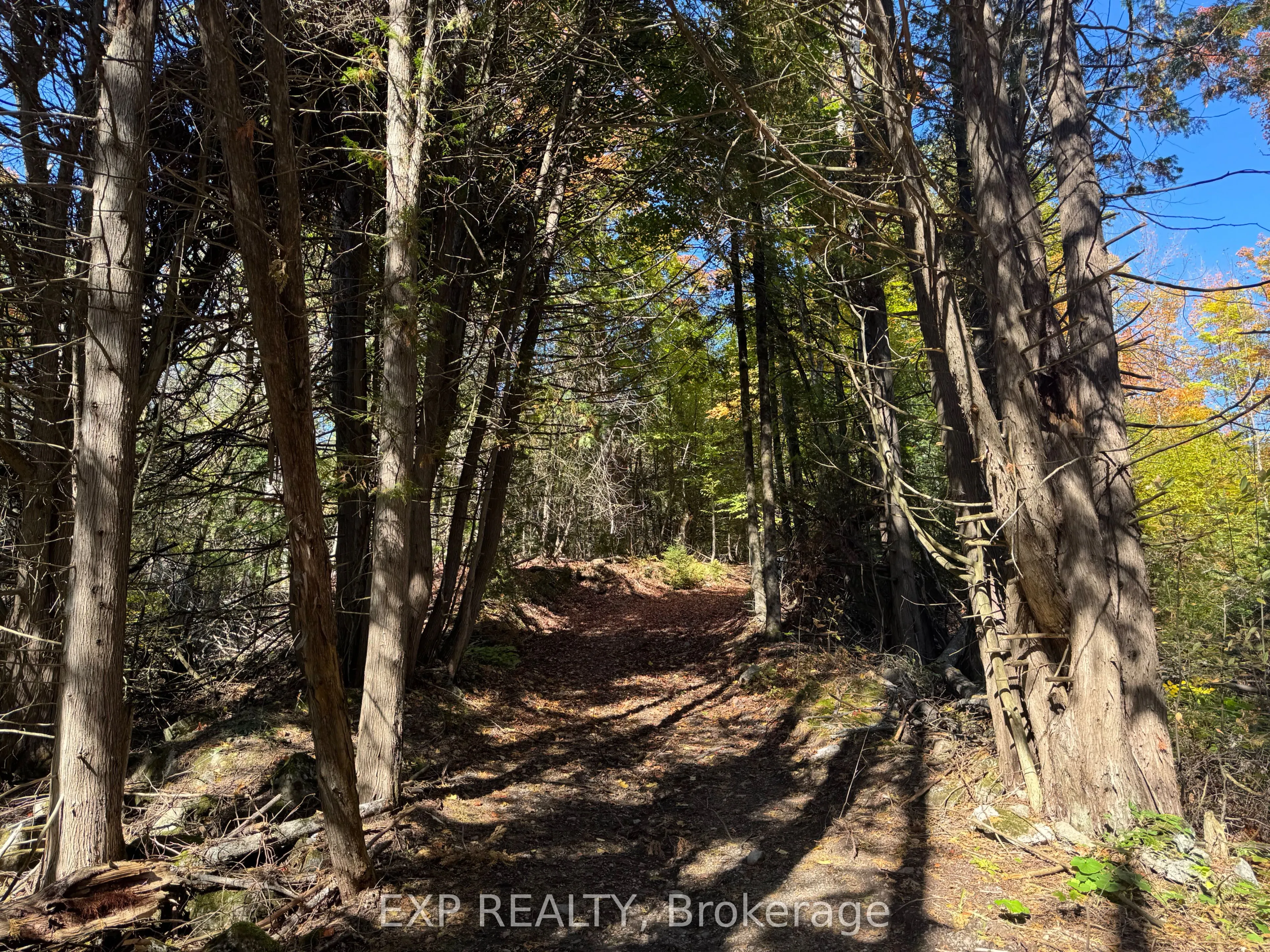 1083 County Rd 6 Road