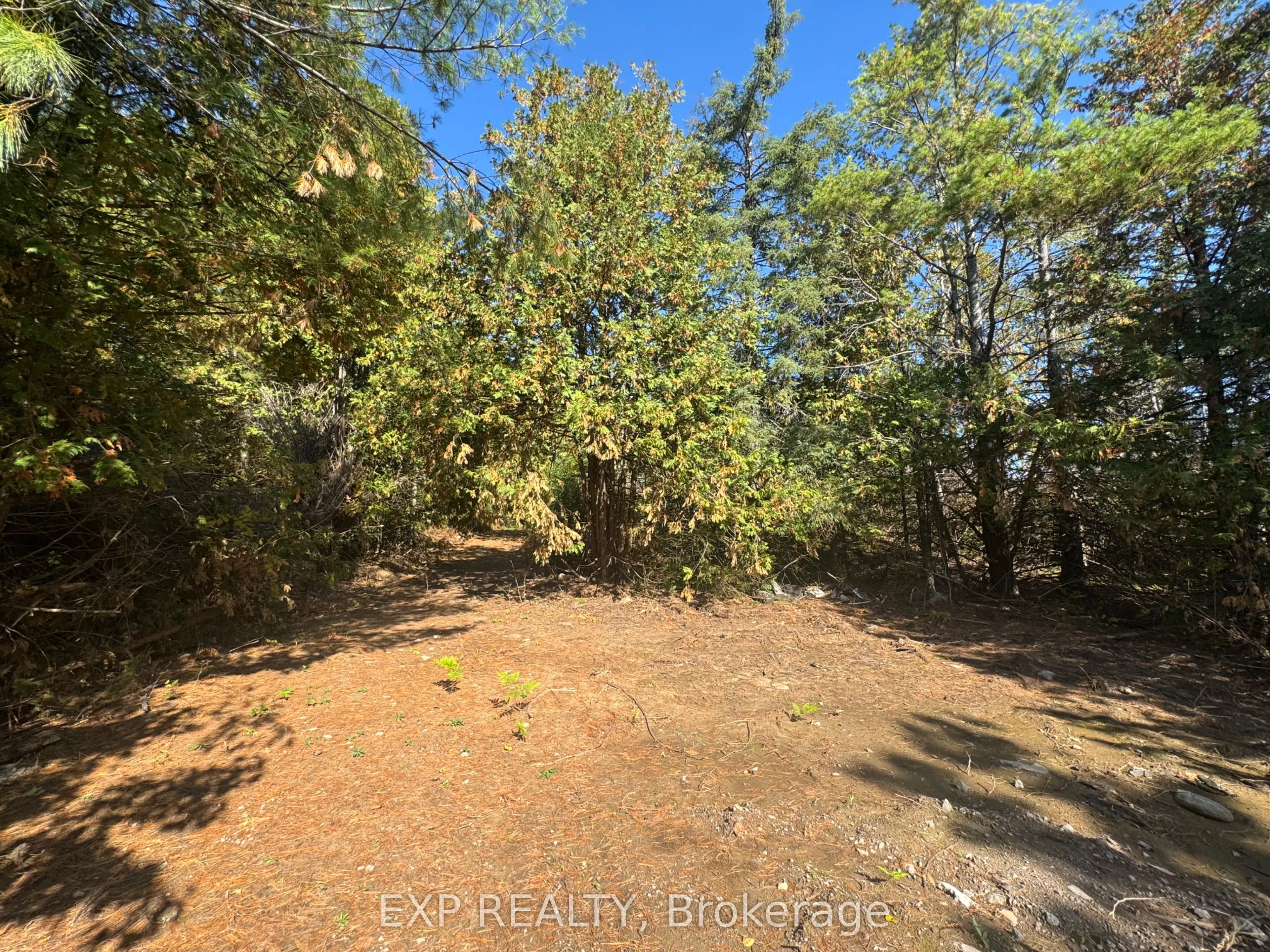1083 County Rd 6 Road