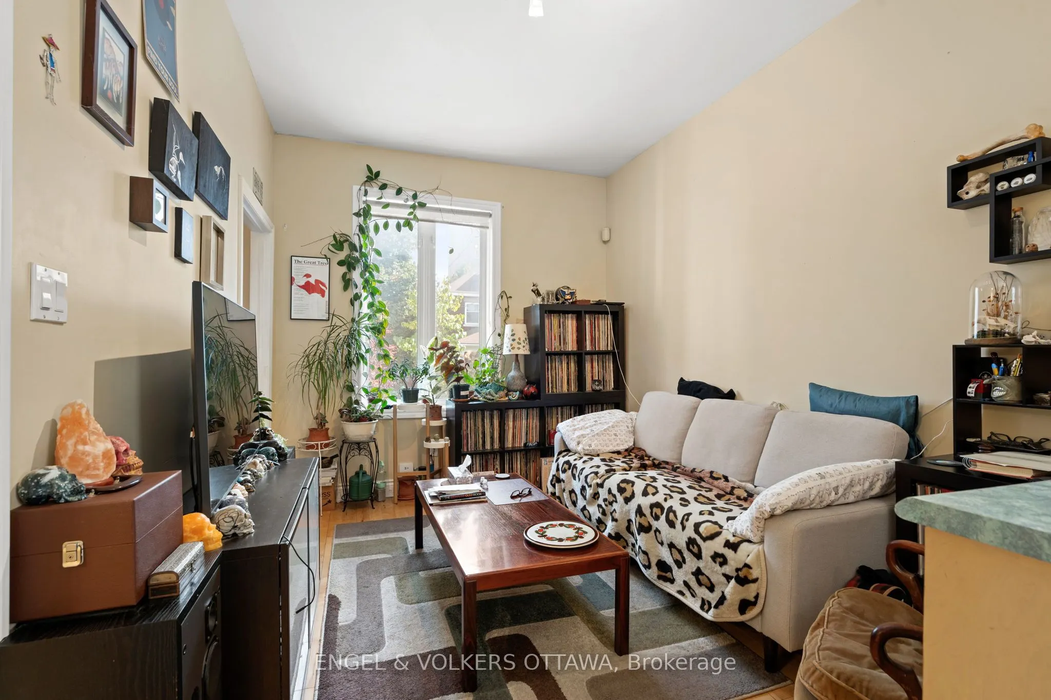 116 Cambridge Street N, #A & B