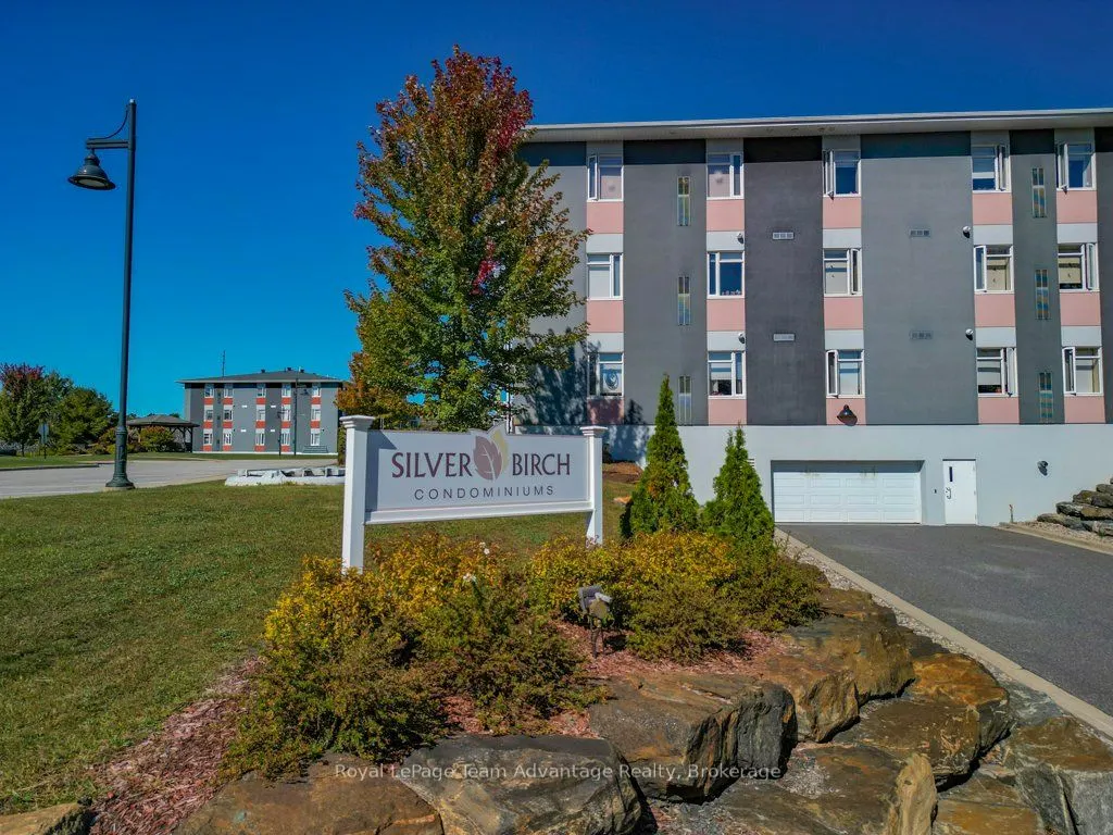 20A Silver Birch Court, #203