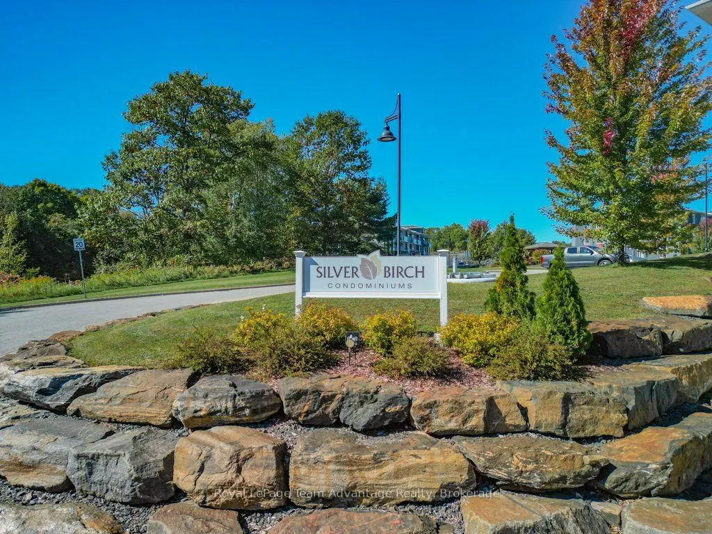20A Silver Birch Court, #203