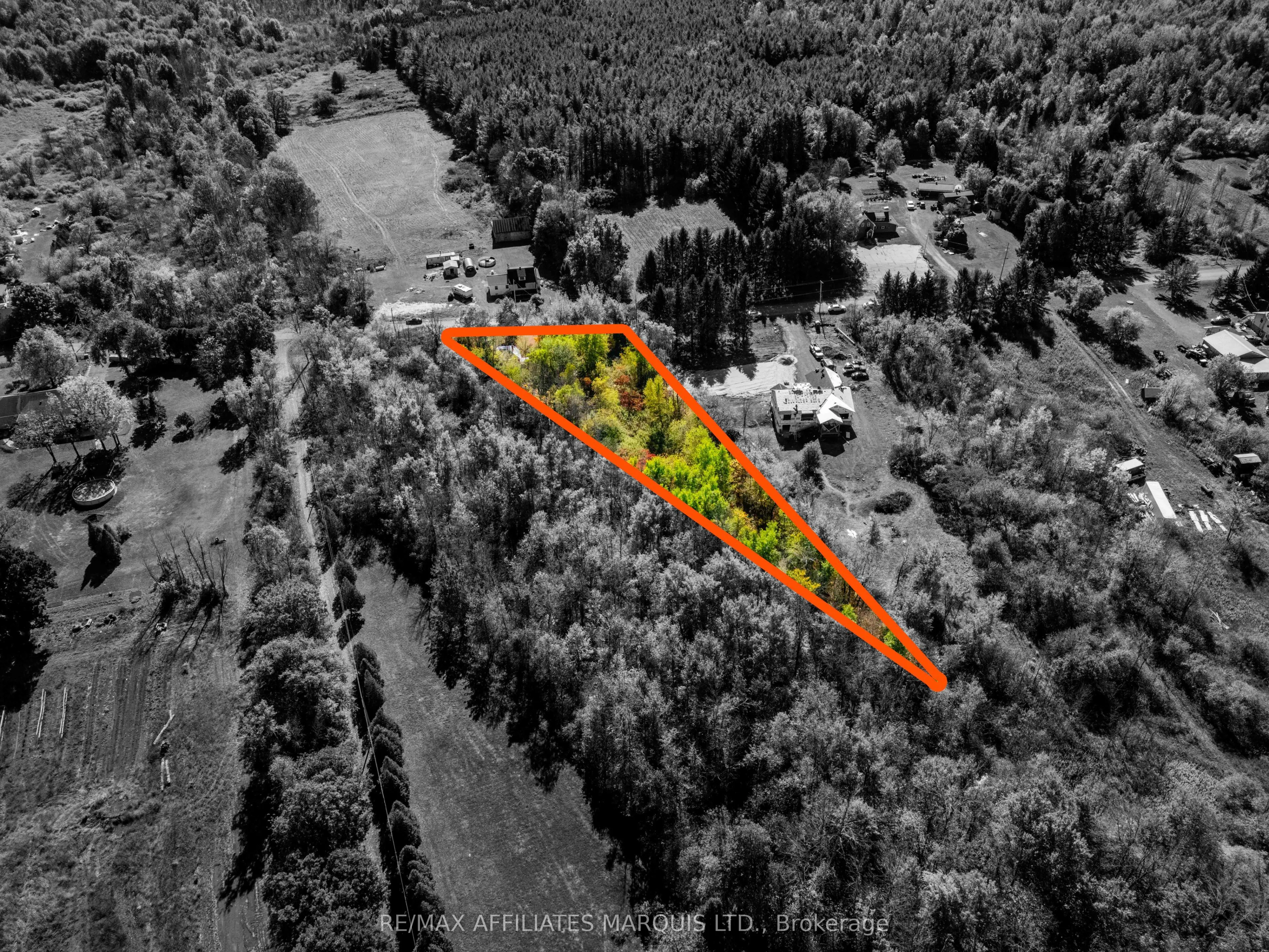 16517 Black River Road