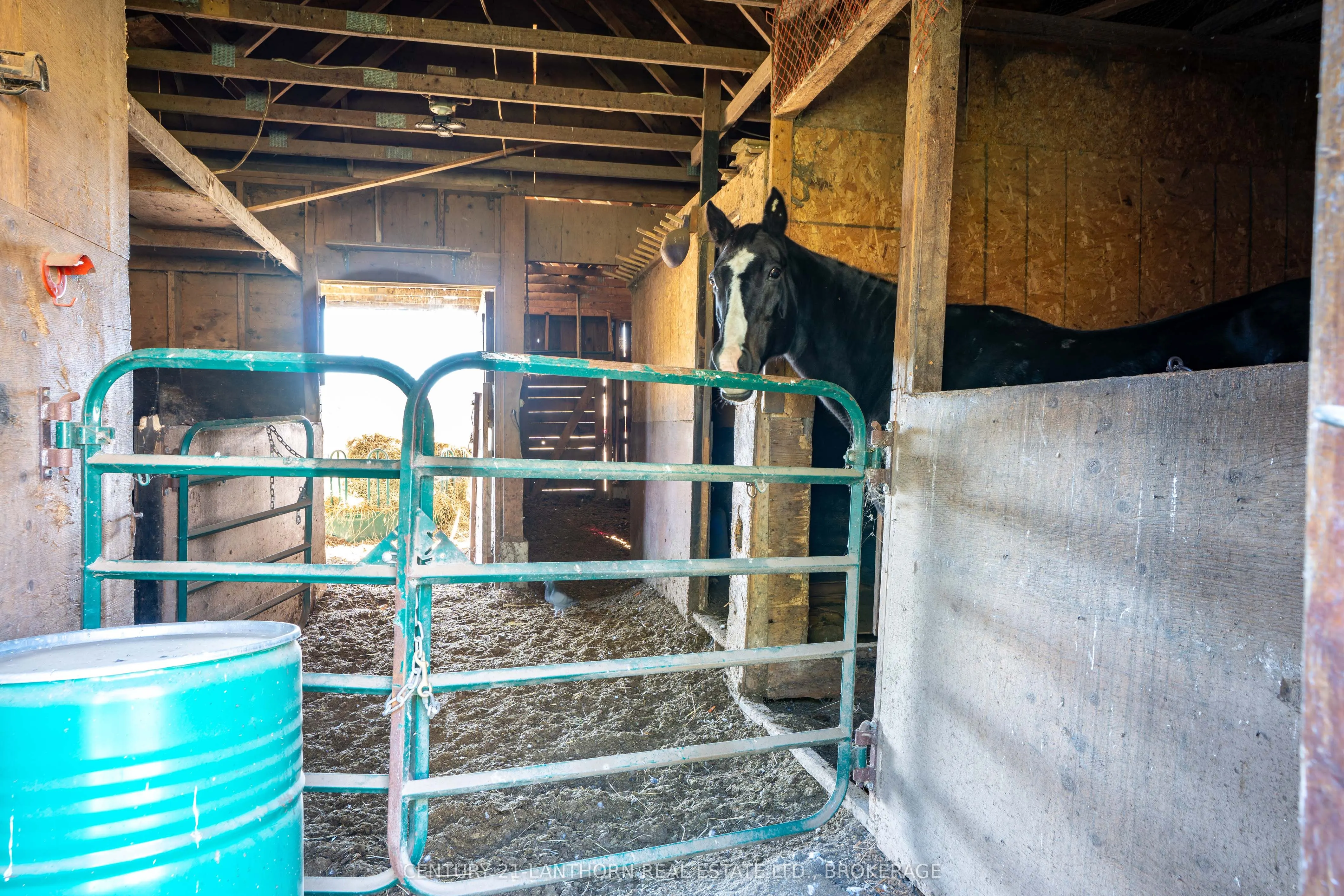895 Ninth Concession Road